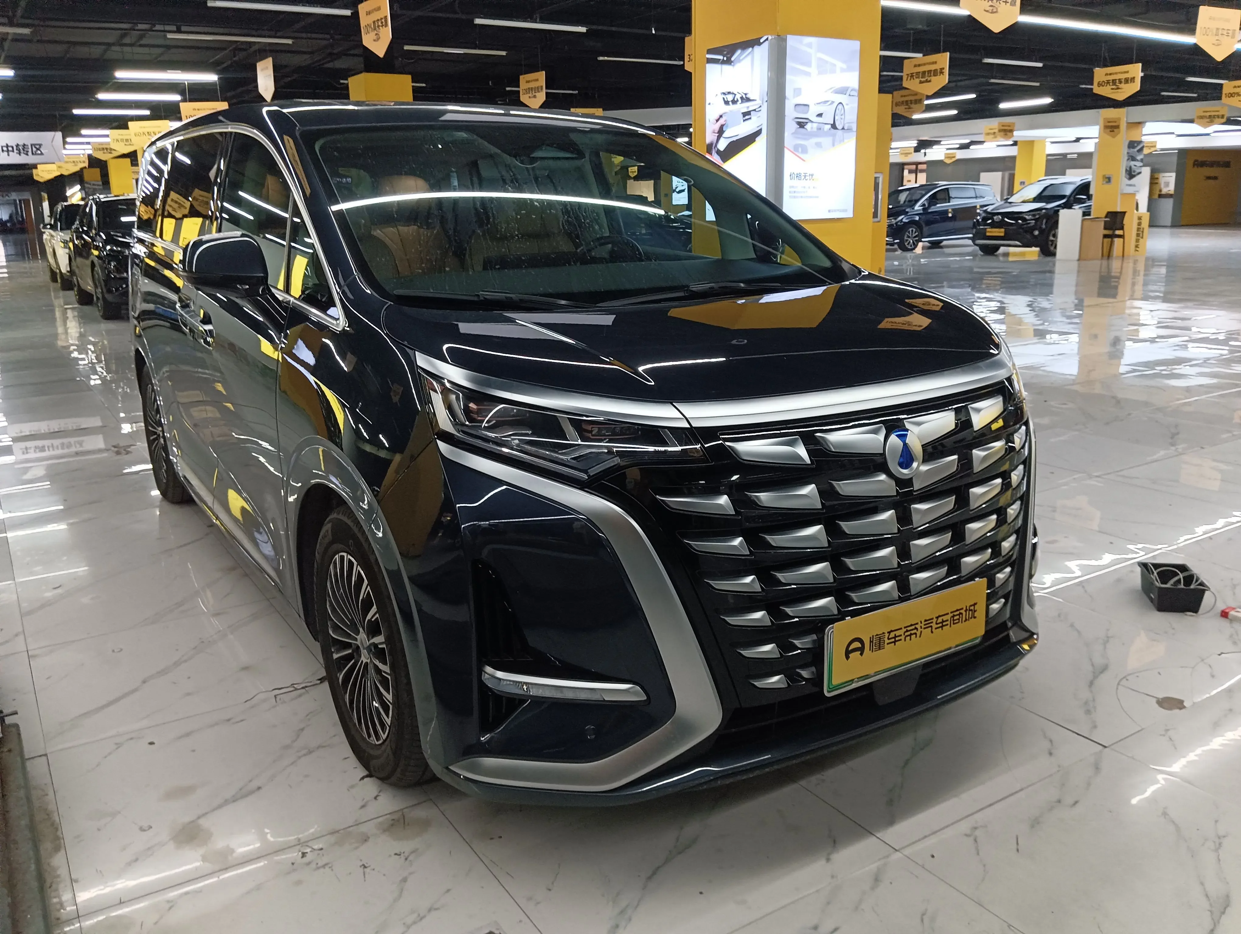 Denza D9 DM
