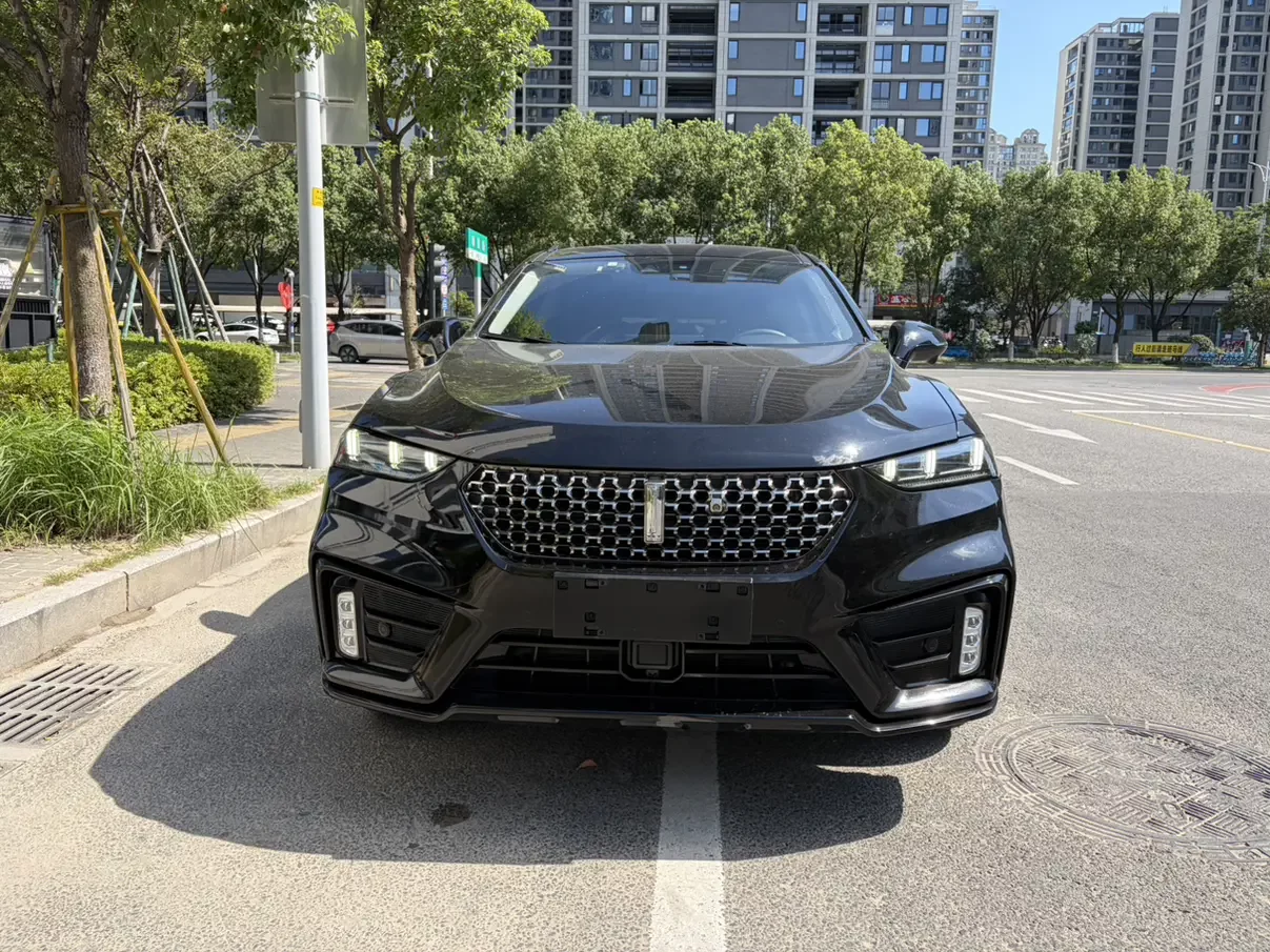 Wey Wei brand VV7
