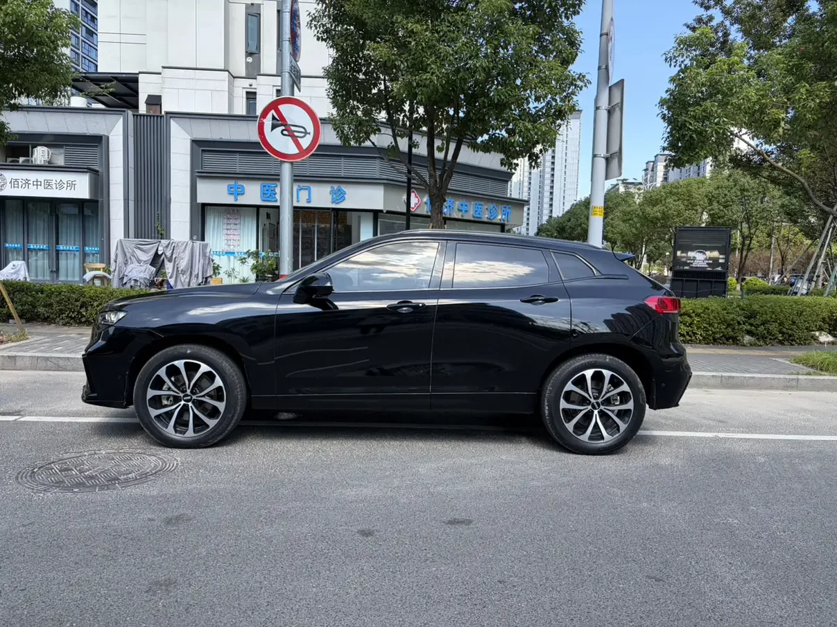 Wey Wei brand VV7