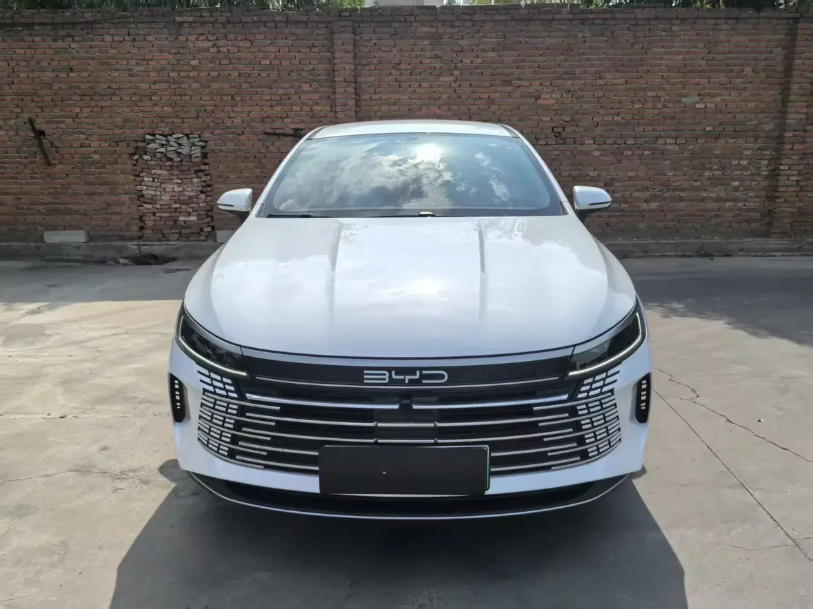 BYD Destroyer 05