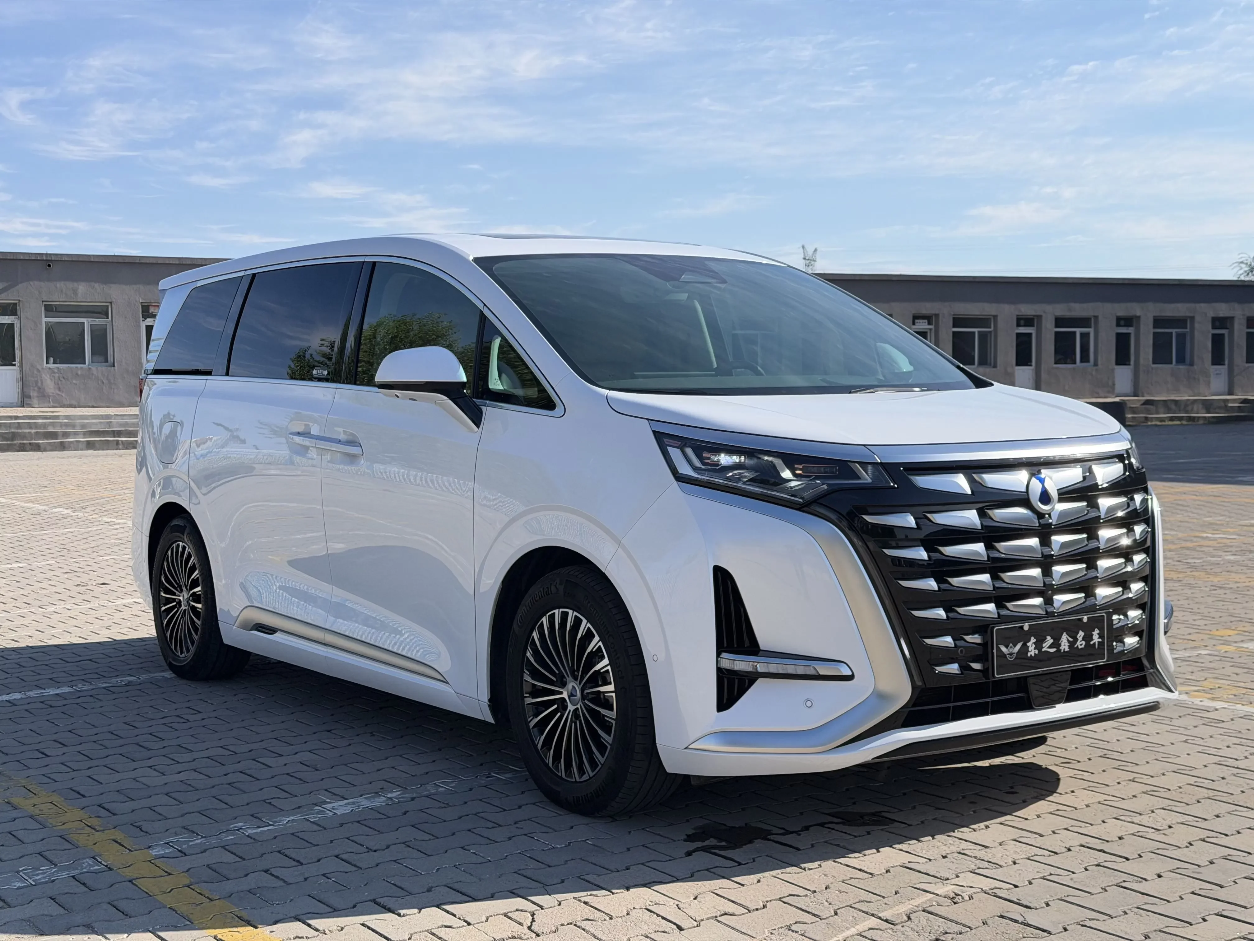 Denza D9 DM