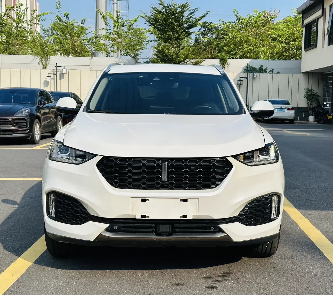 Wey Wei brand VV6