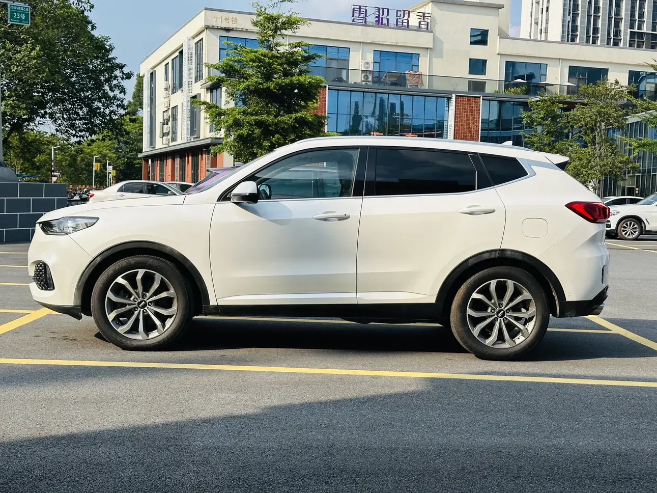 Wey Wei brand VV6