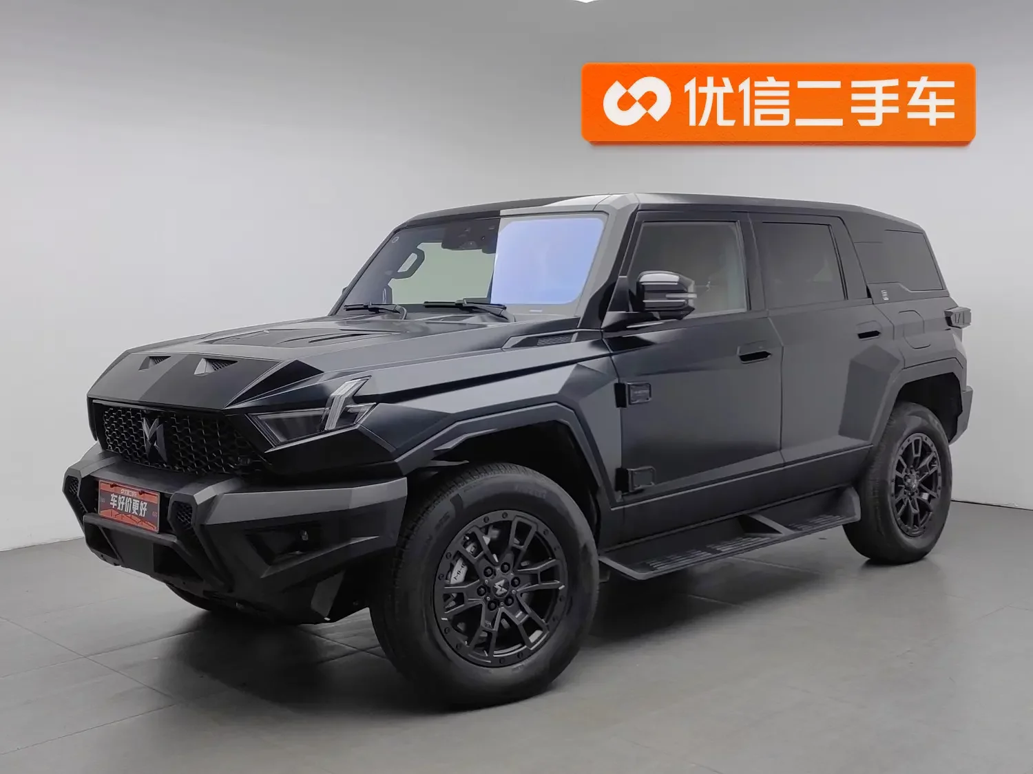 Mengshi Warrior 917