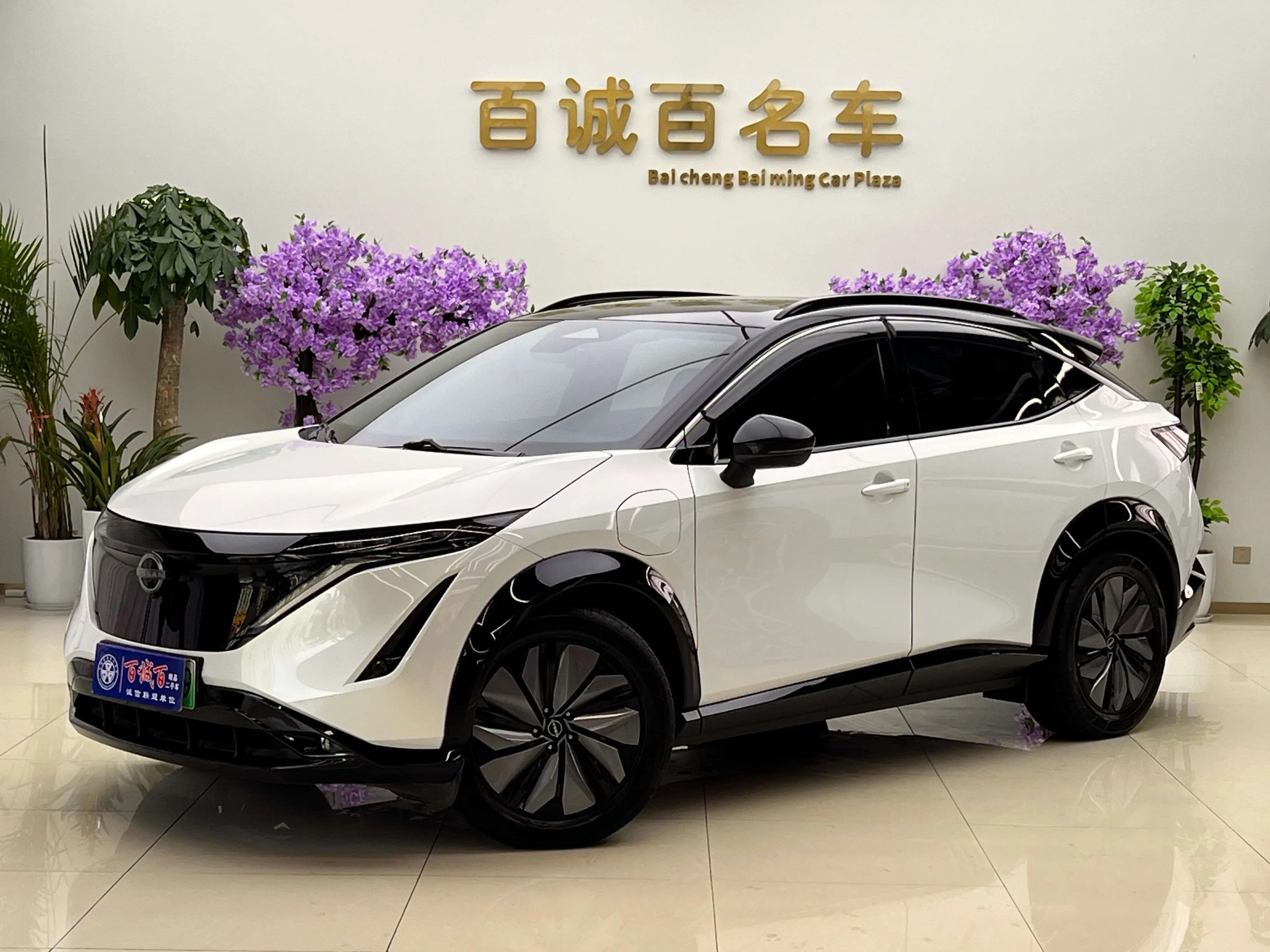 Nissan ARIYA