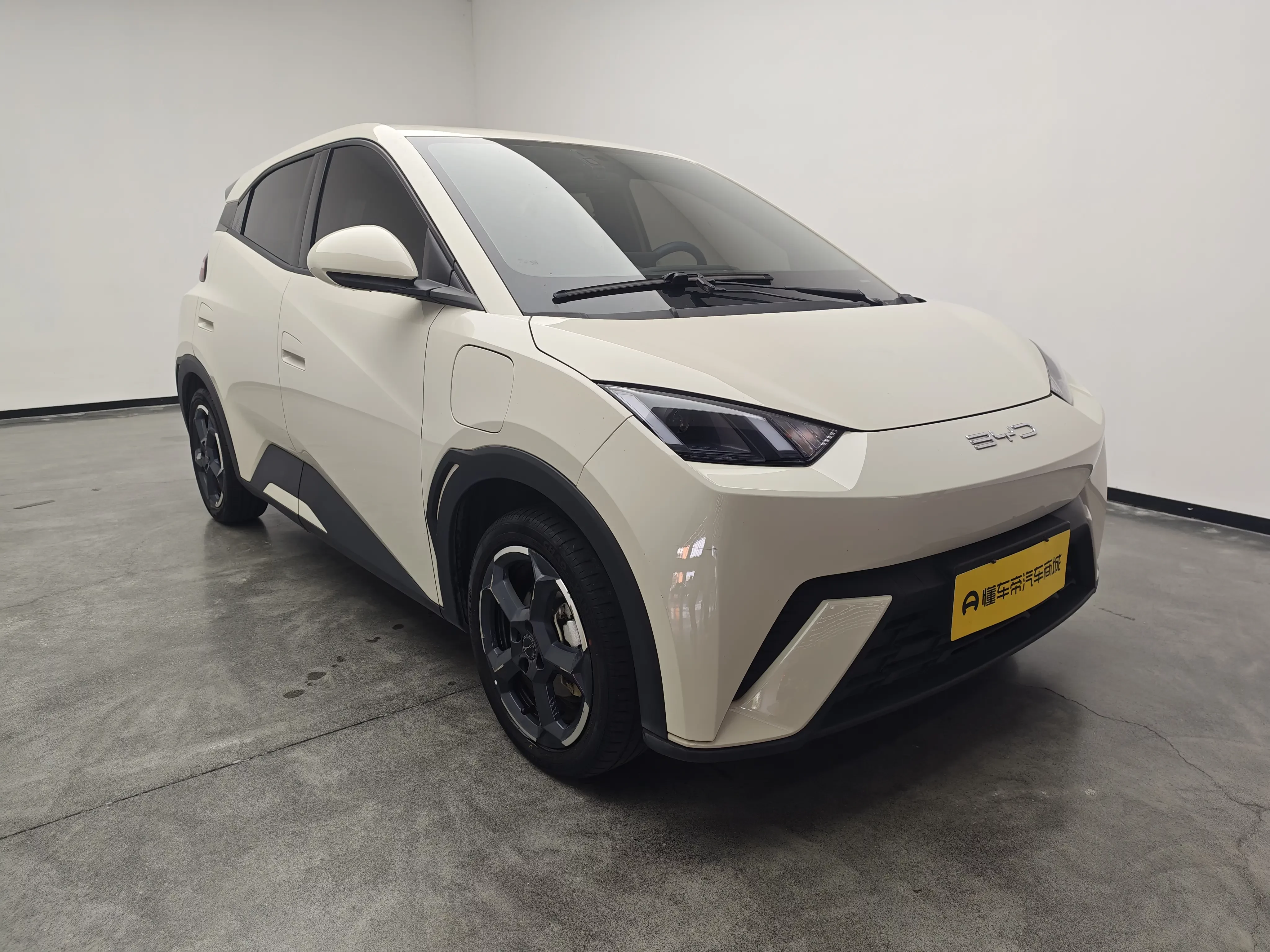 BYD Seagull