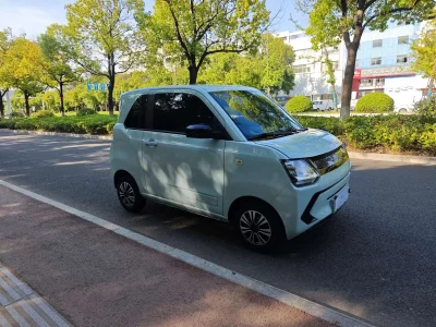Dongfeng Scenery MINIEV