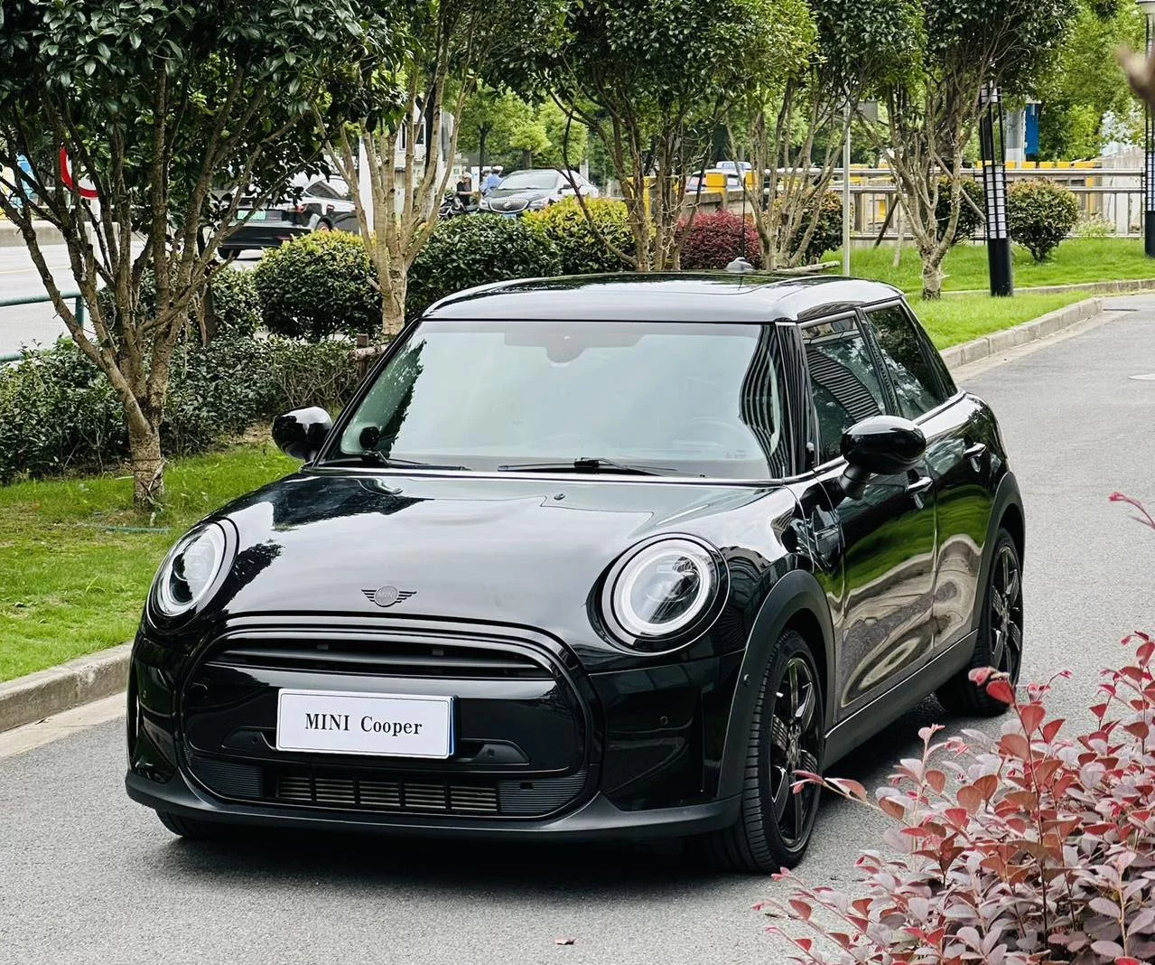 MINI MINI