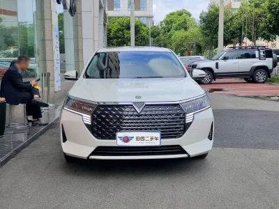 Venucia D60