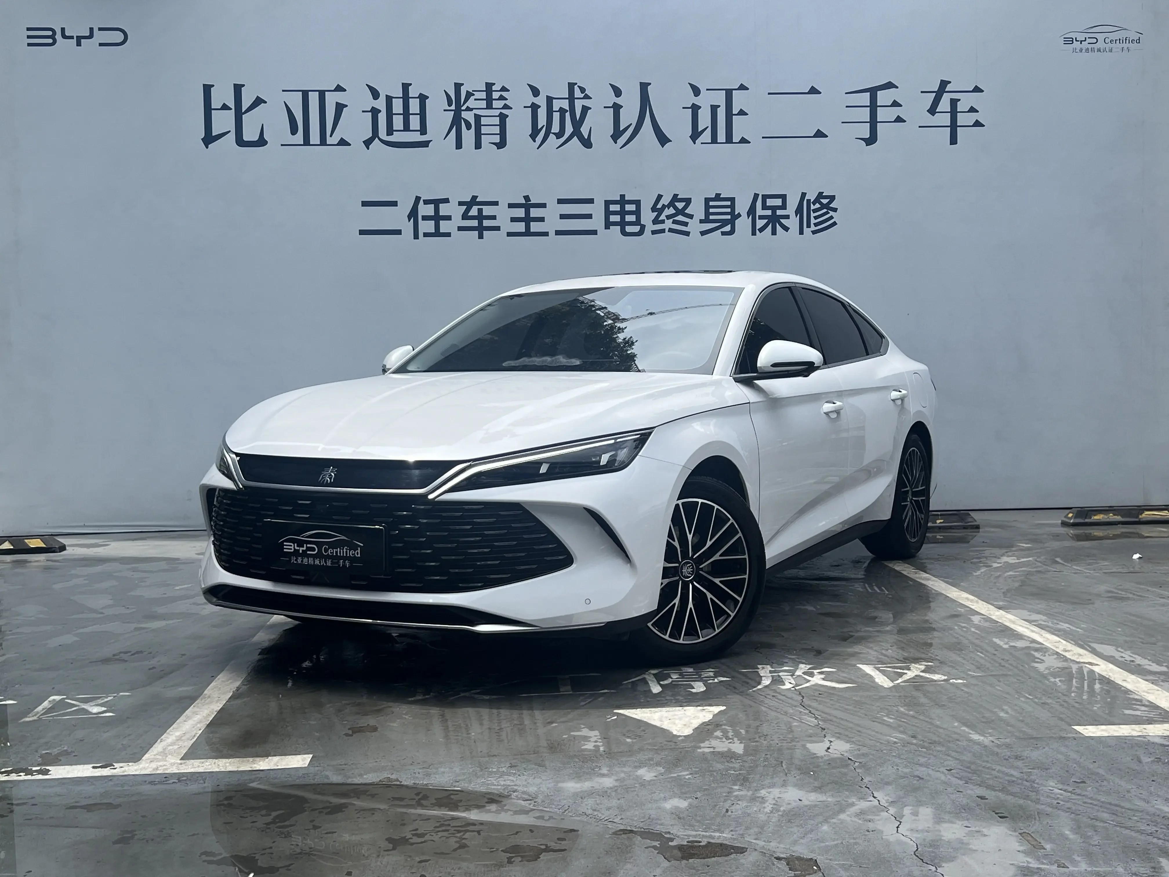 BYD Qin L DM