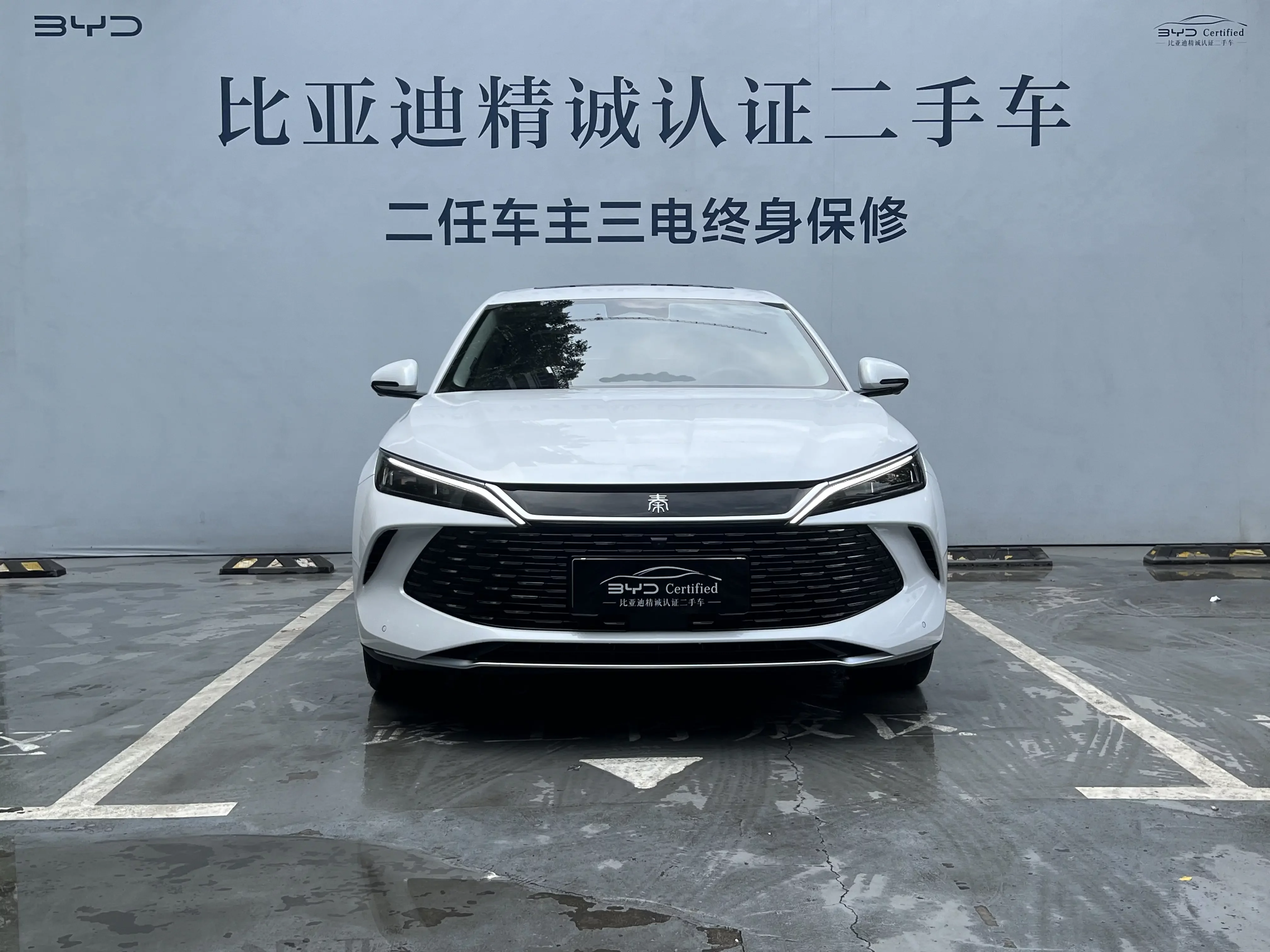 BYD Qin L DM