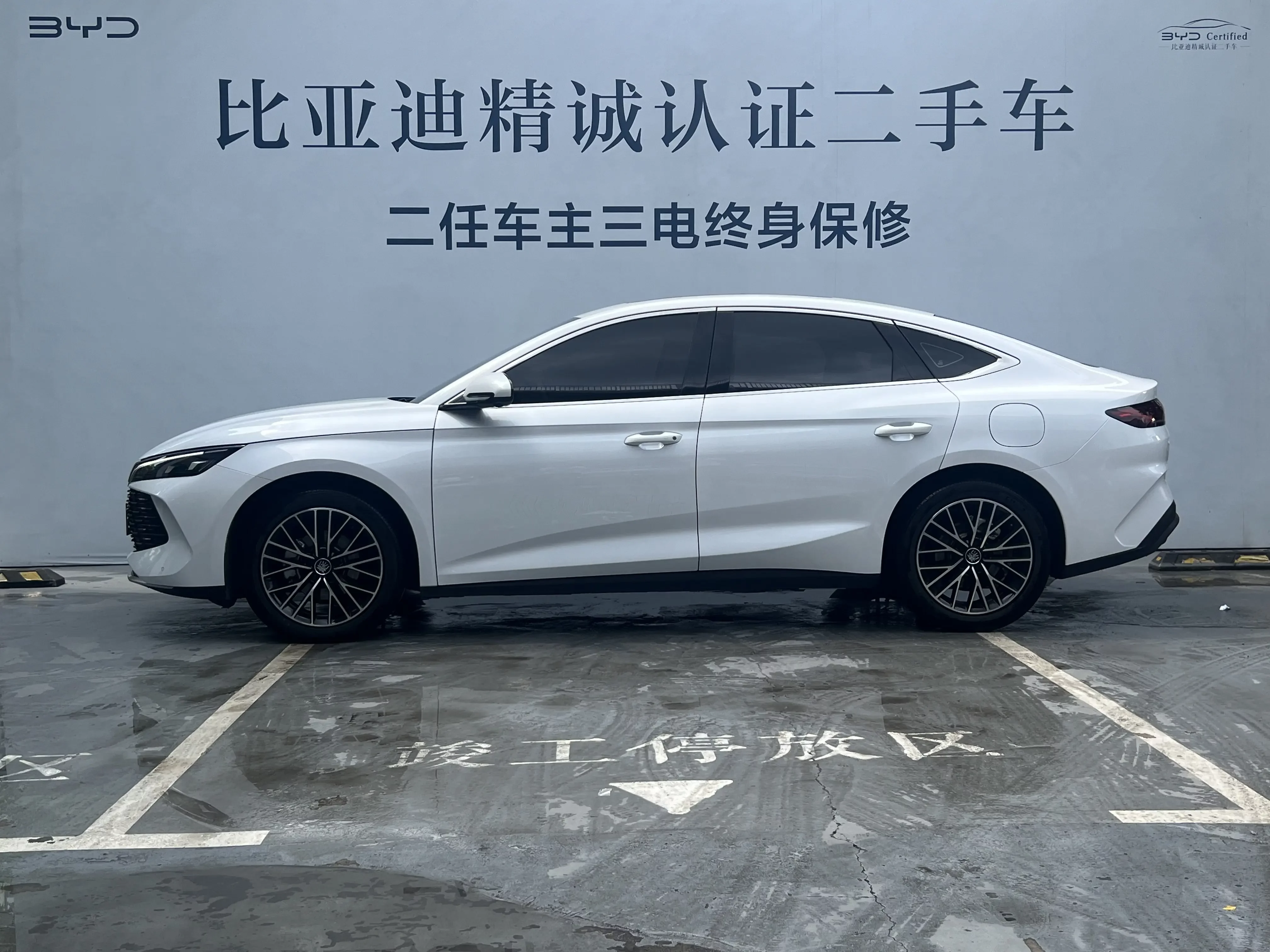 BYD Qin L DM
