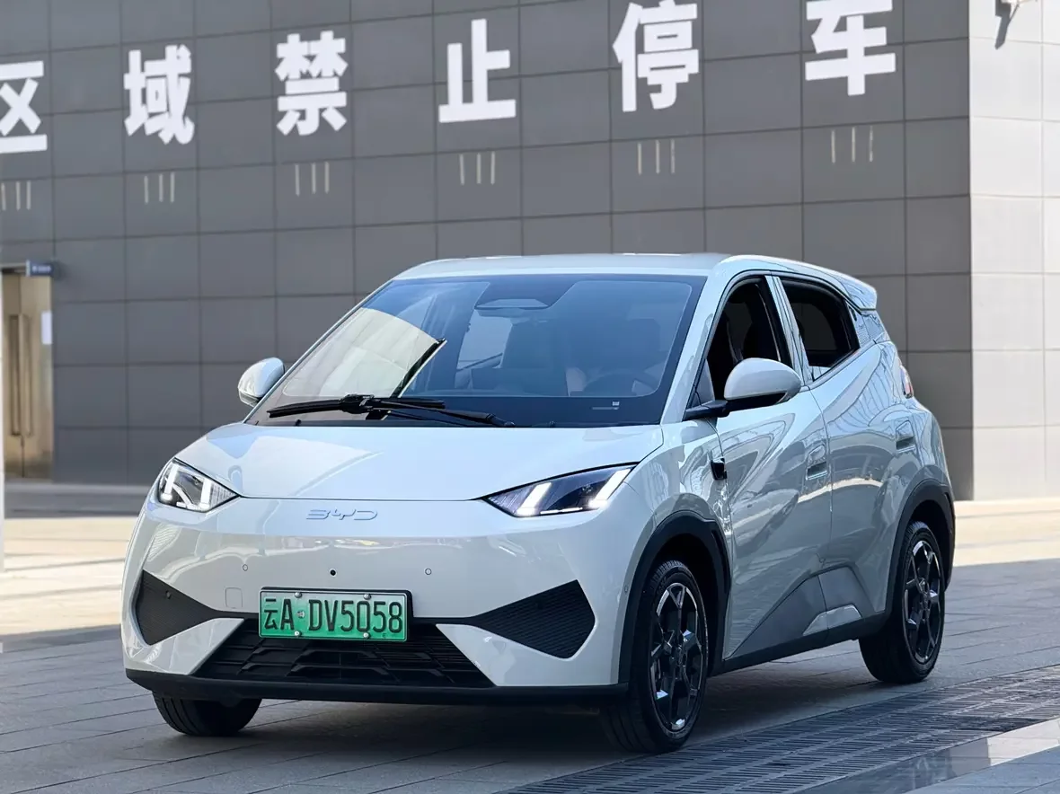 BYD Seagull