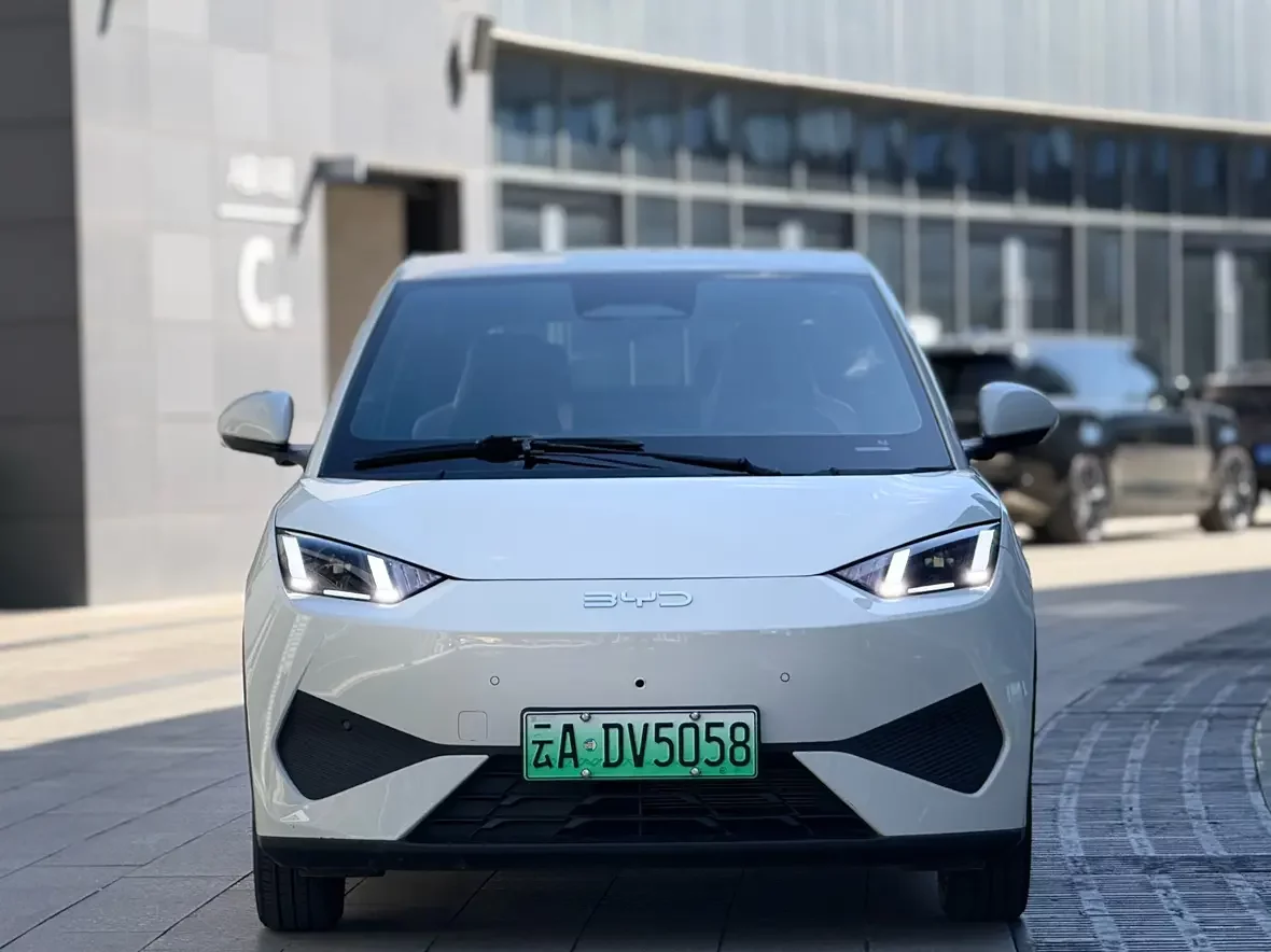 BYD Seagull