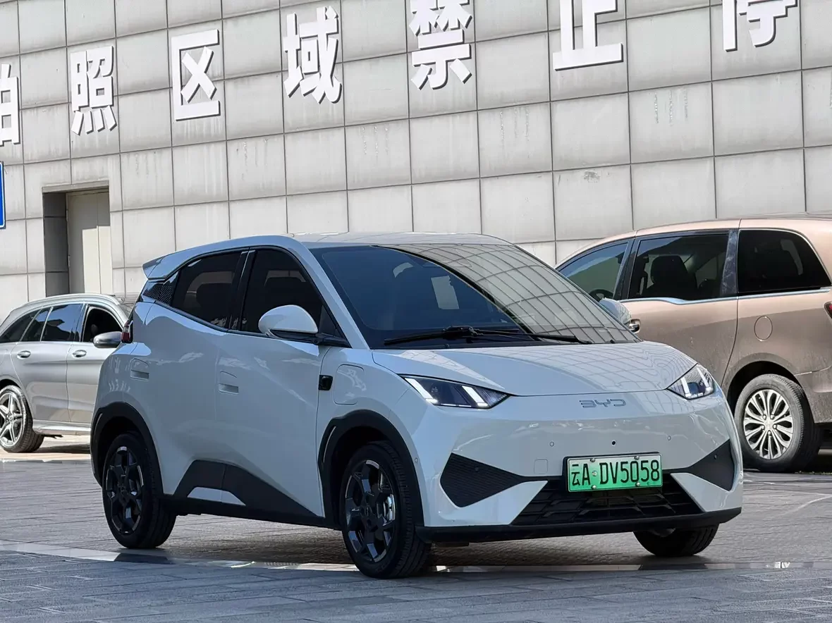 BYD Seagull
