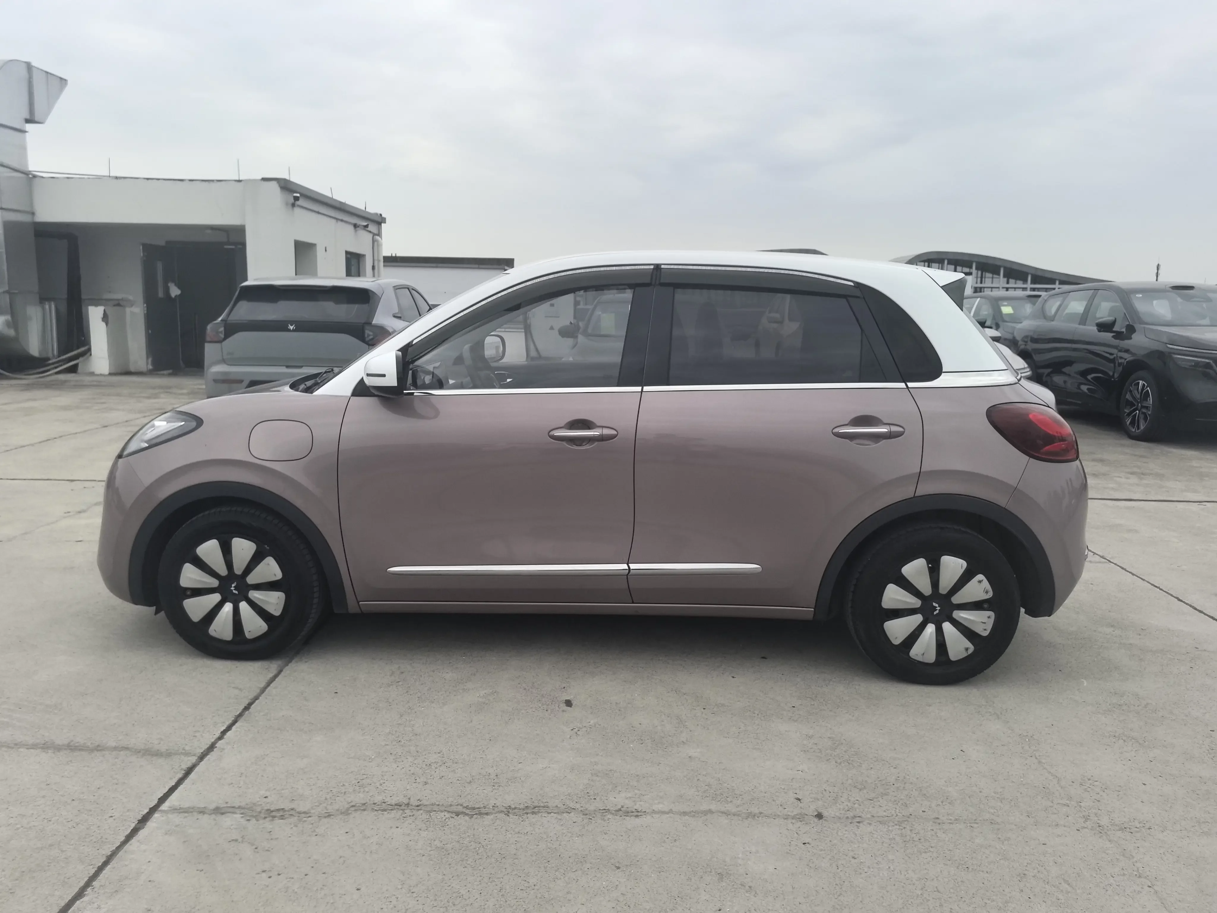 Wuling Bingo