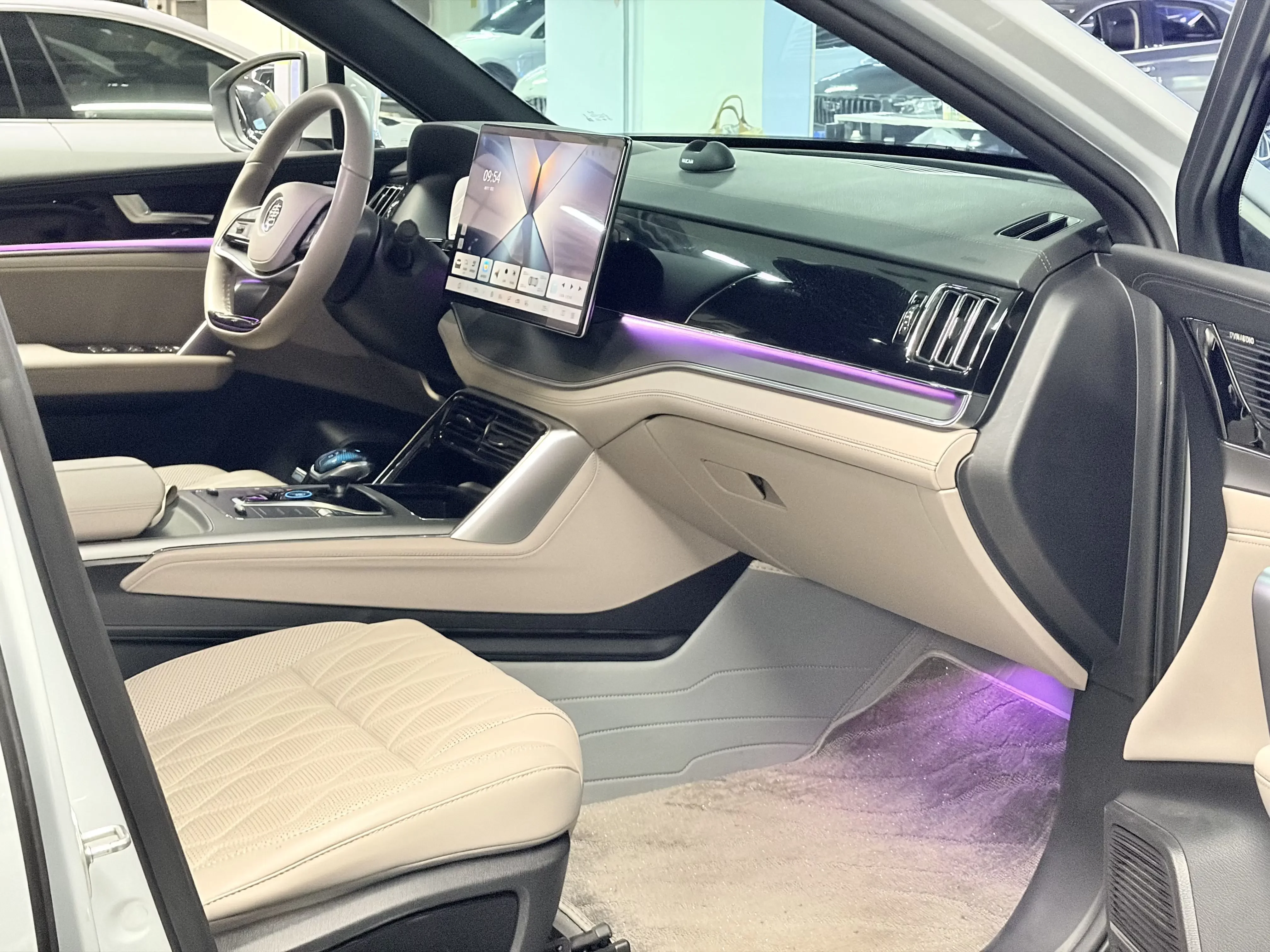 BYD Tang DM