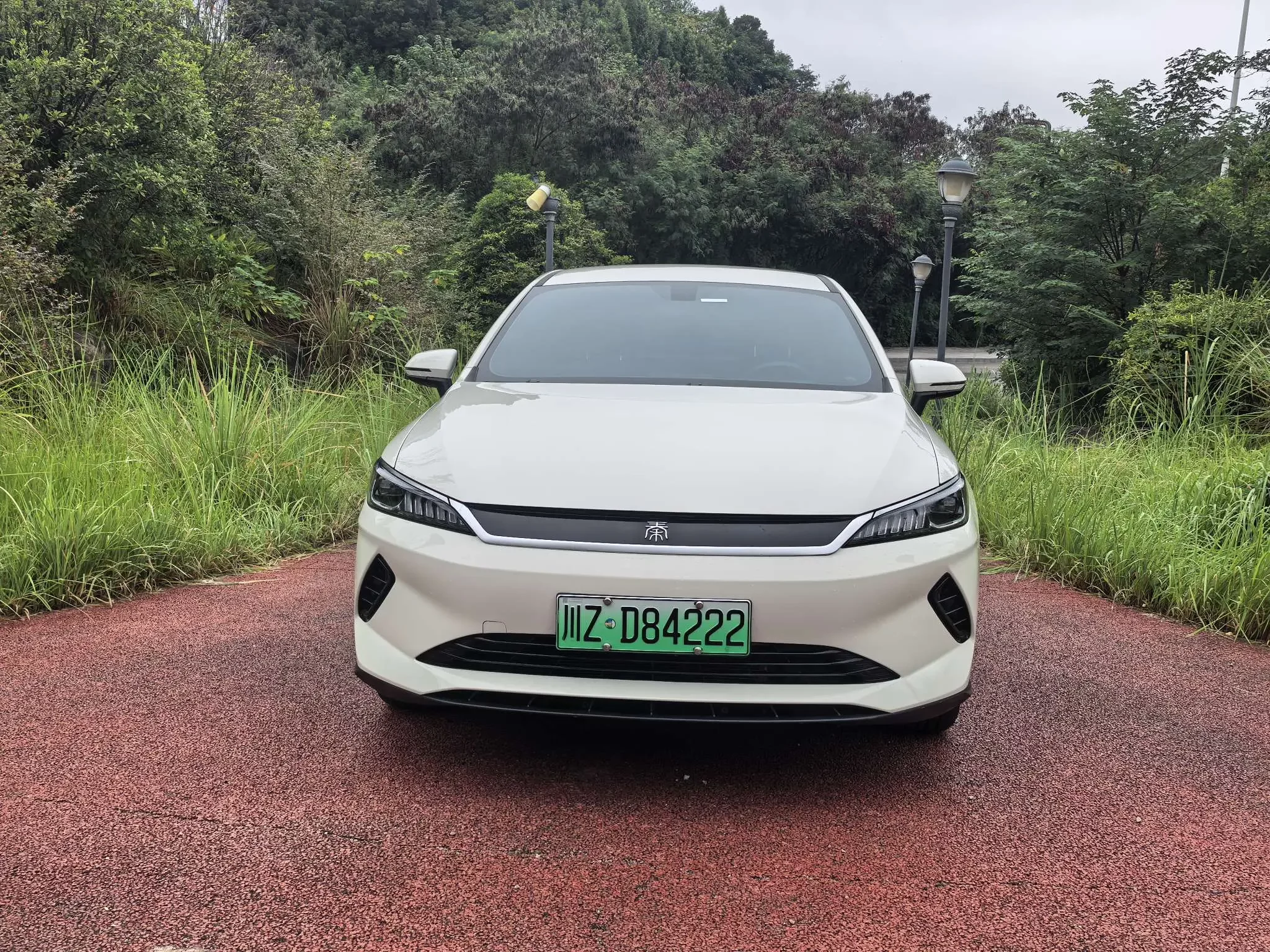 BYD Qin PLUS EV