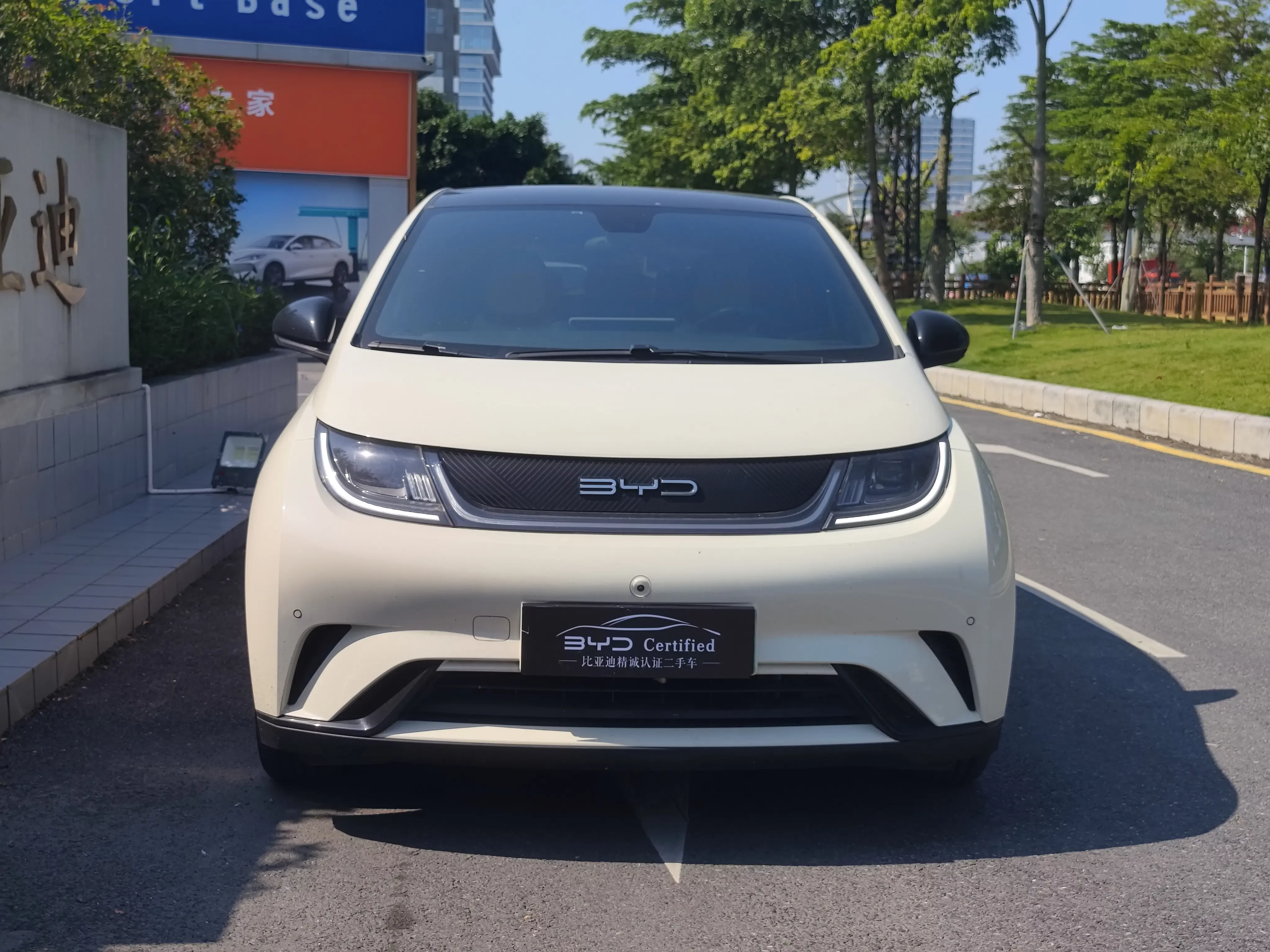 BYD Dolphin