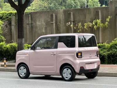 Geely Panda