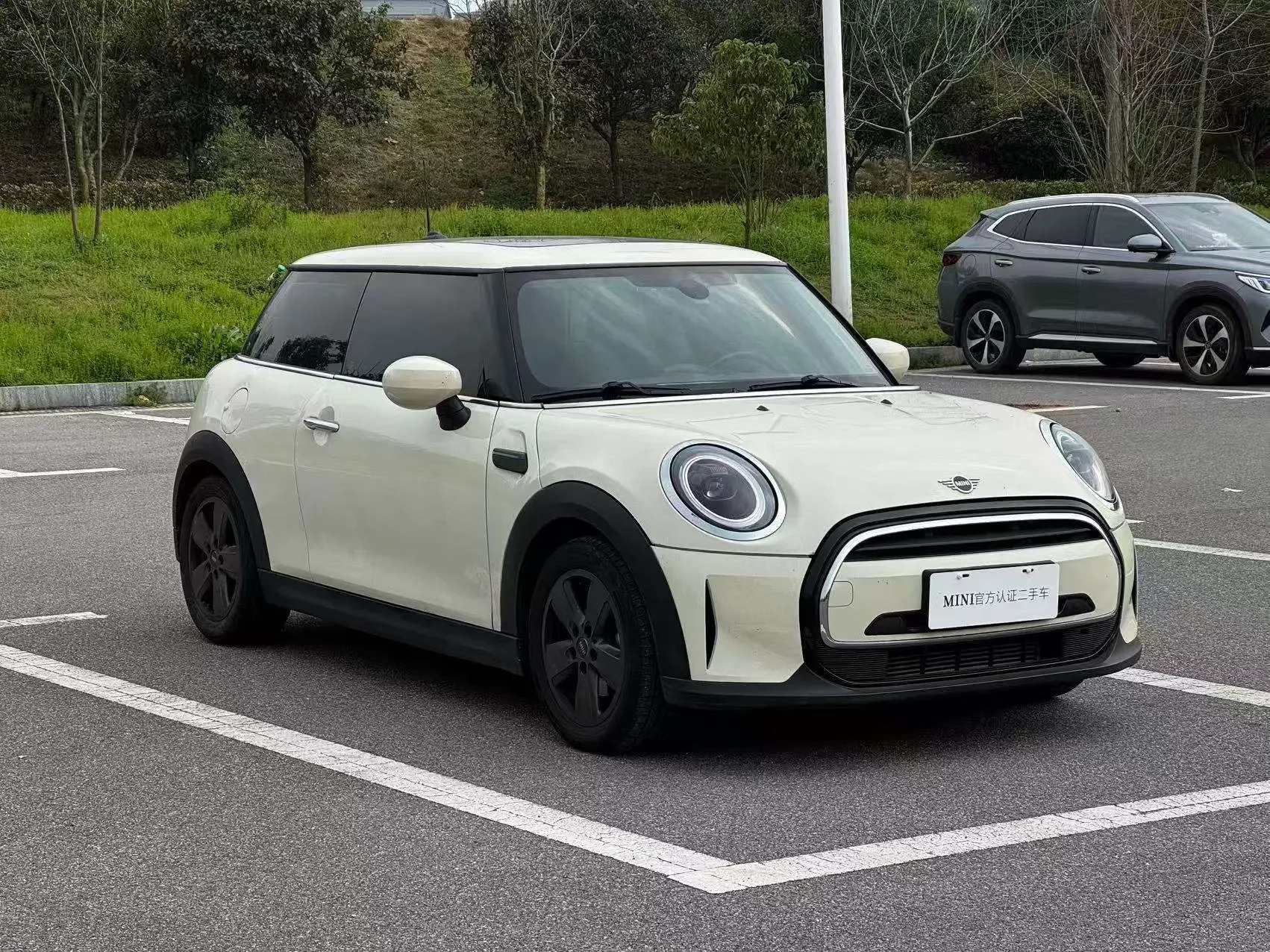 MINI MINI