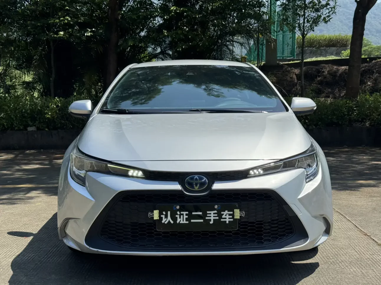 Toyota Levin