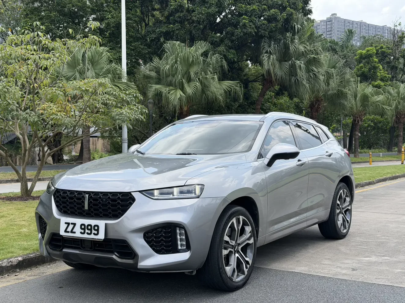 Wey Wei brand VV7