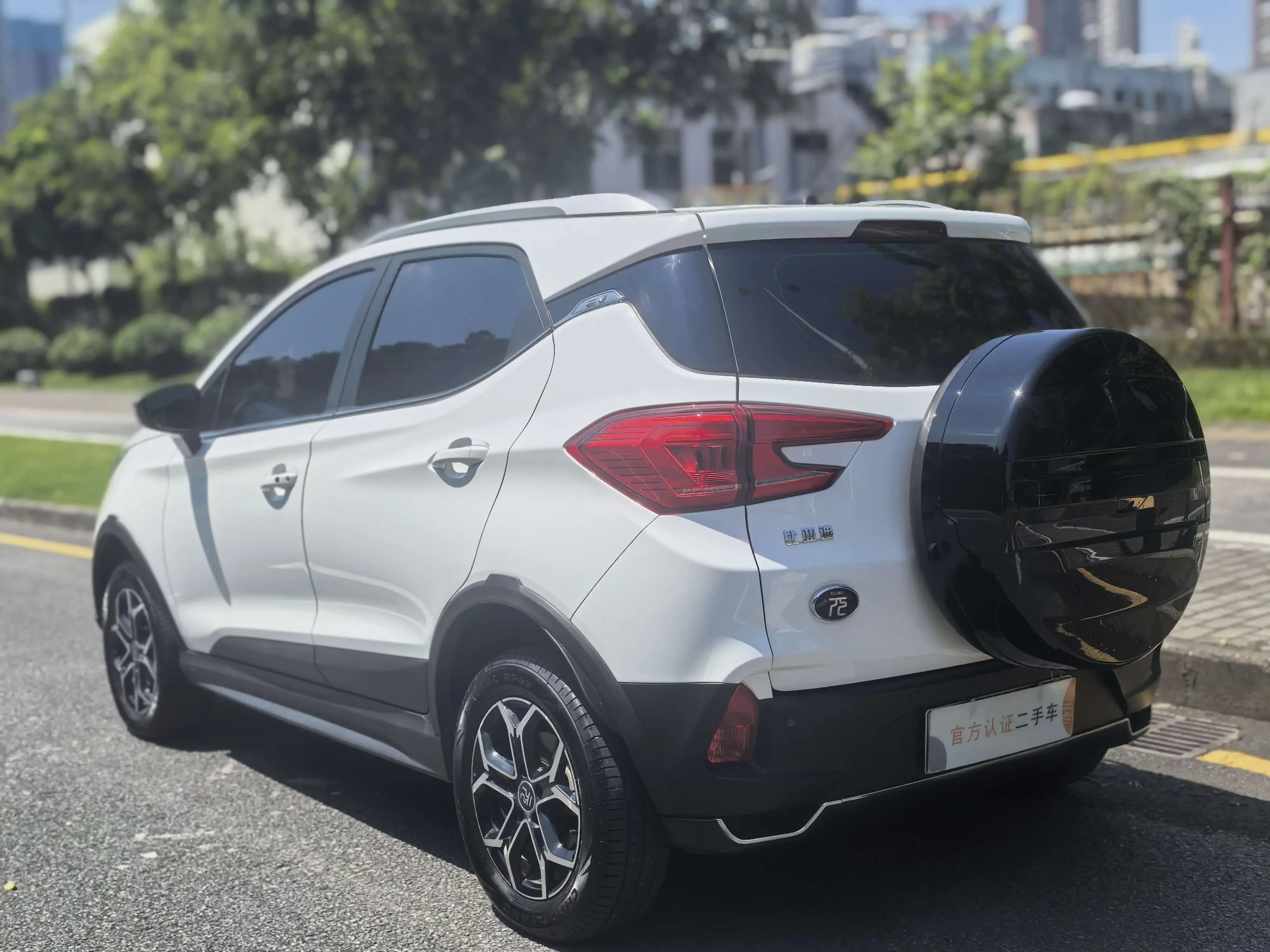 BYD Yuan Pro