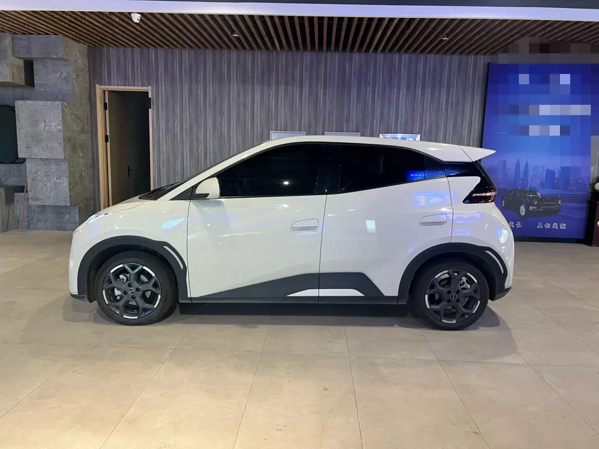 BYD Seagull
