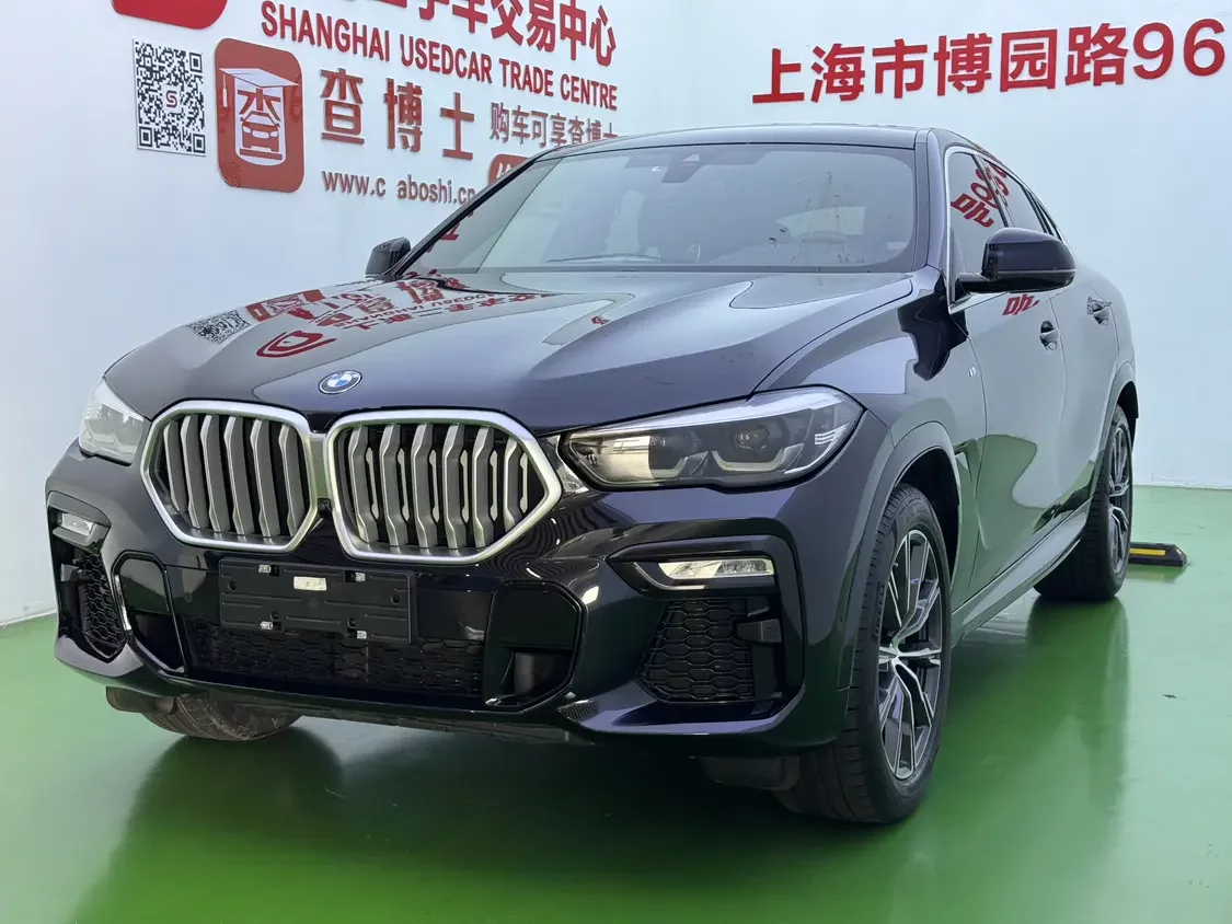 BMW X6