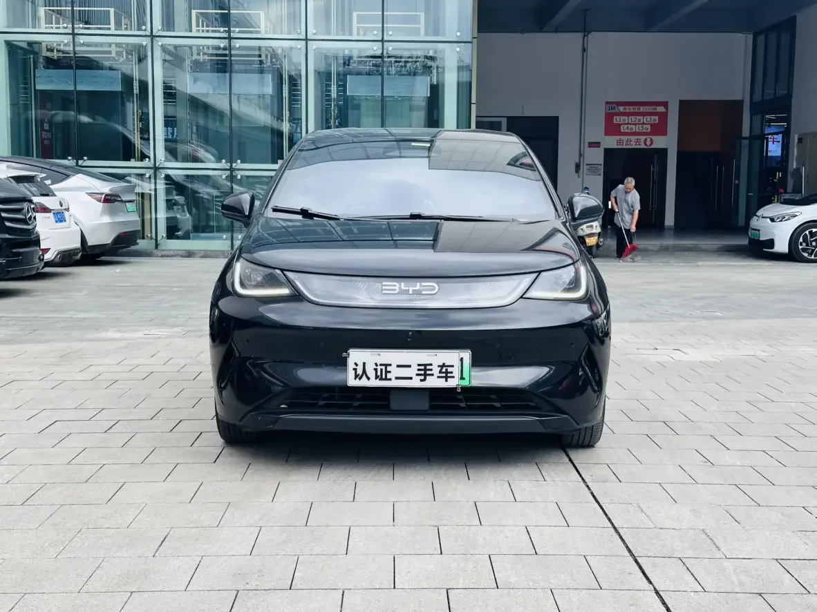 BYD Dolphin
