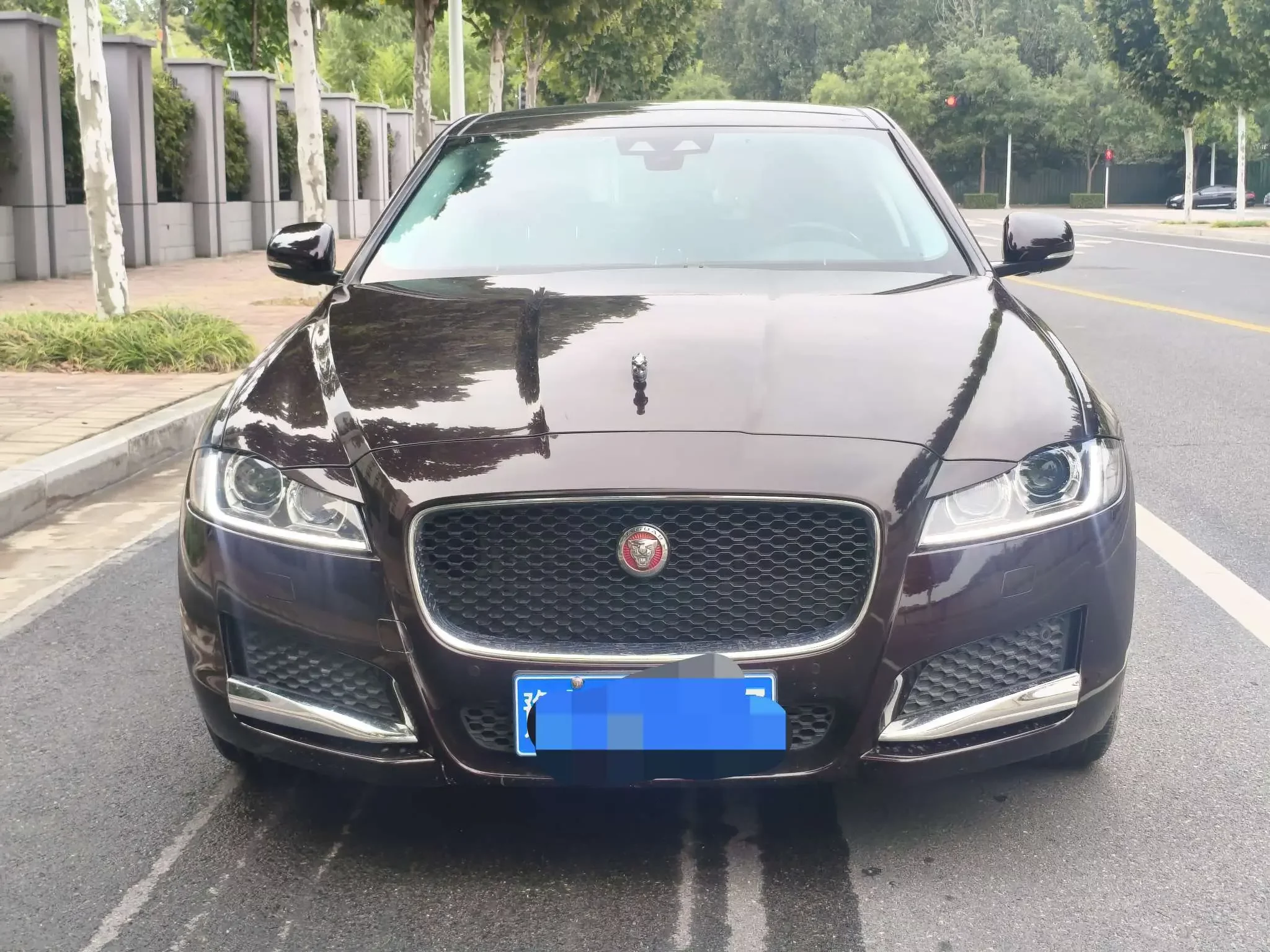 Jaguar XFL