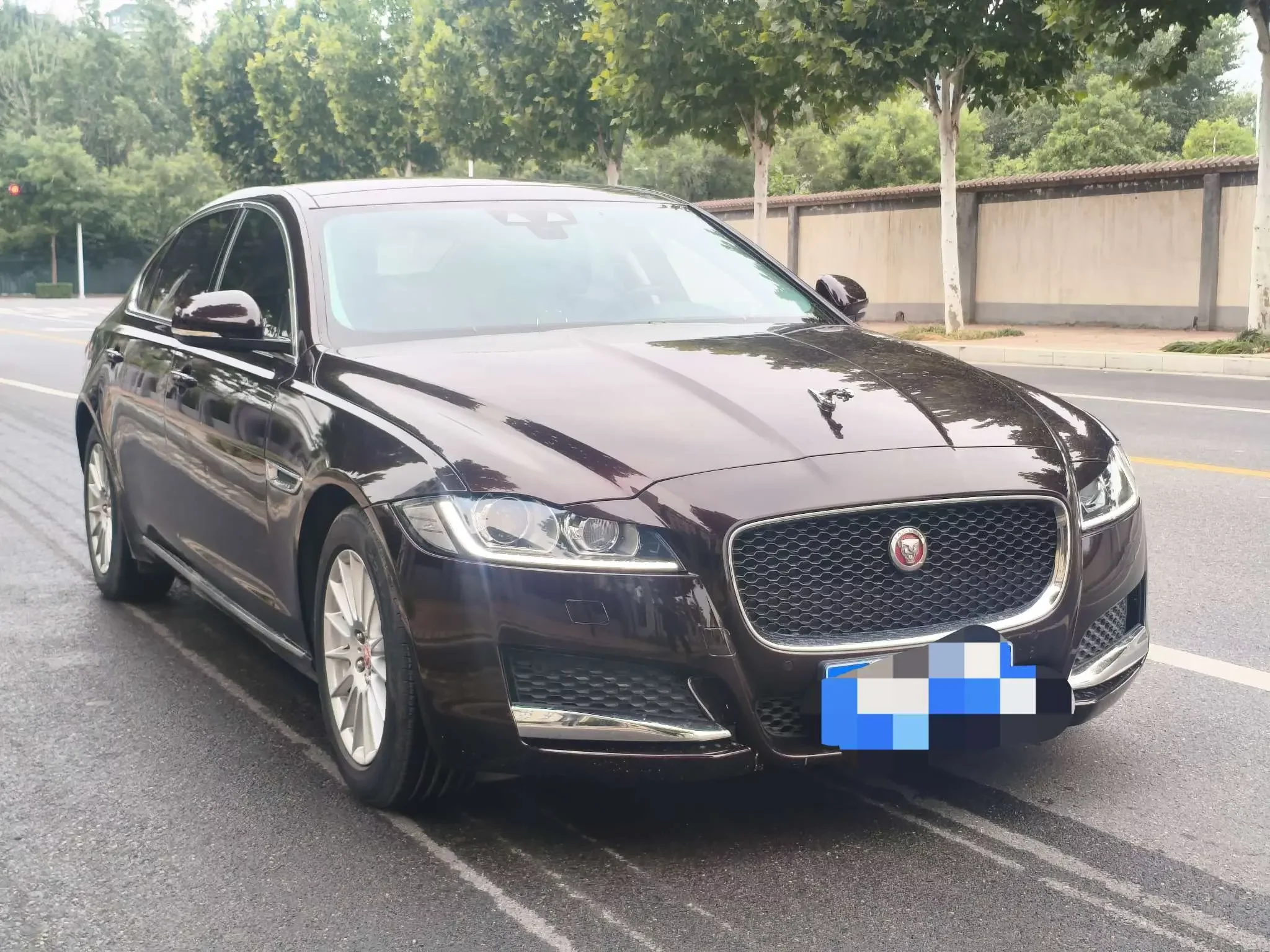 Jaguar XFL