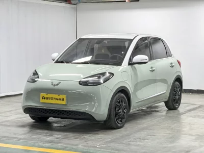 Wuling Bingo