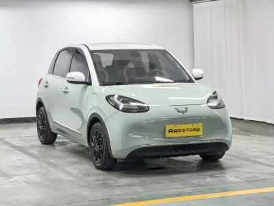 Wuling Bingo