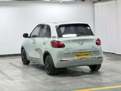 Wuling Bingo