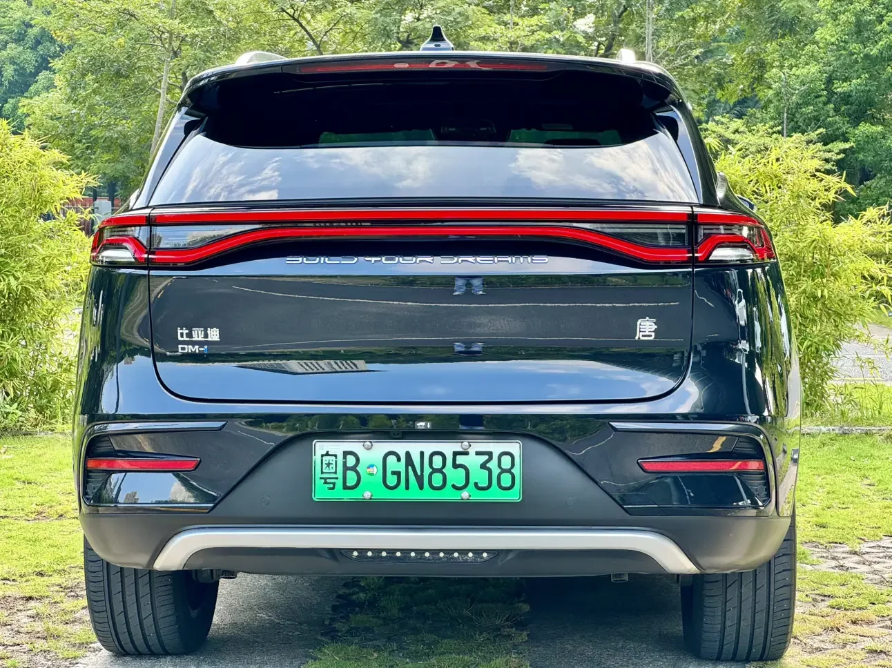 BYD Tang DM