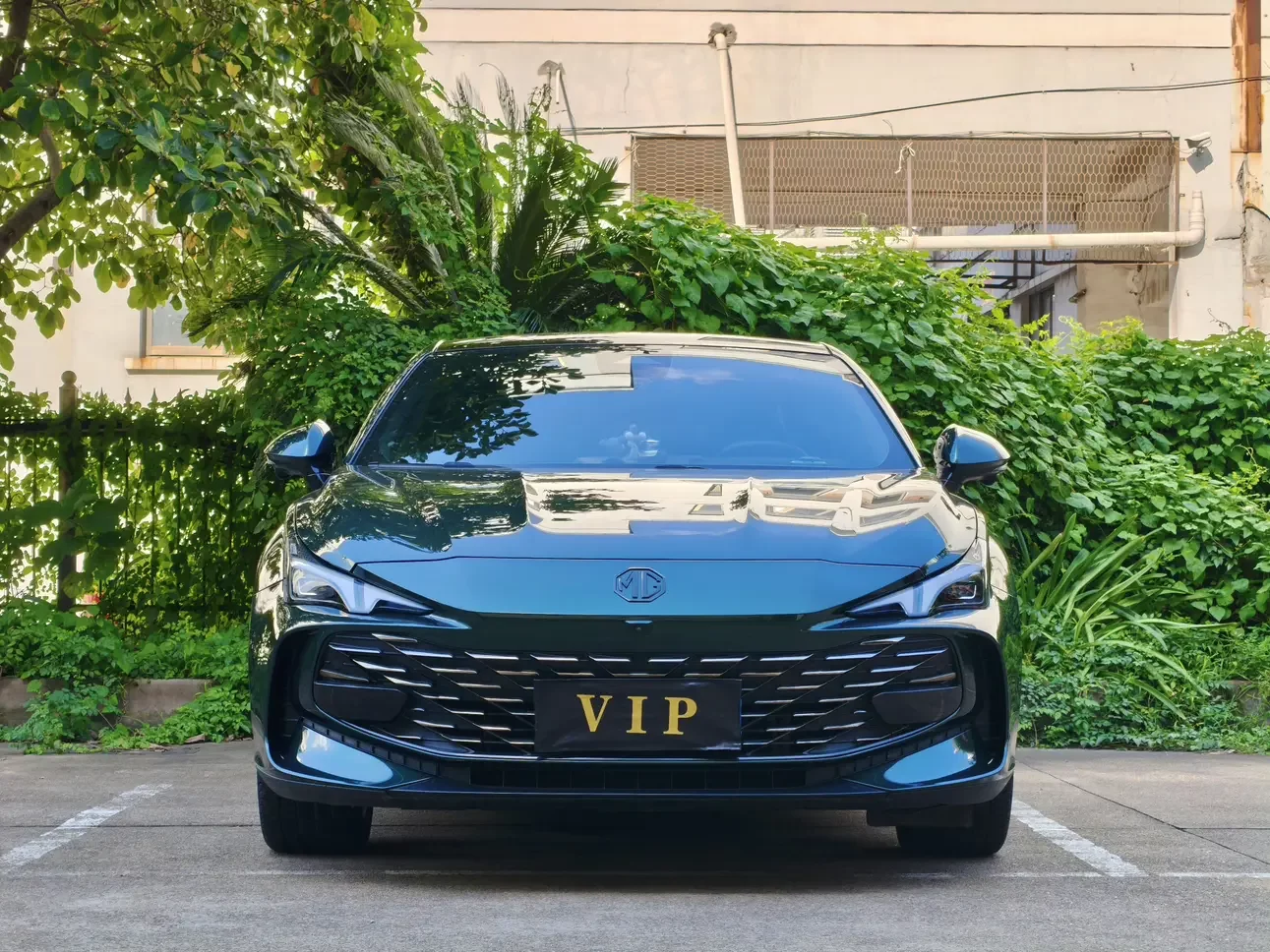MG 7