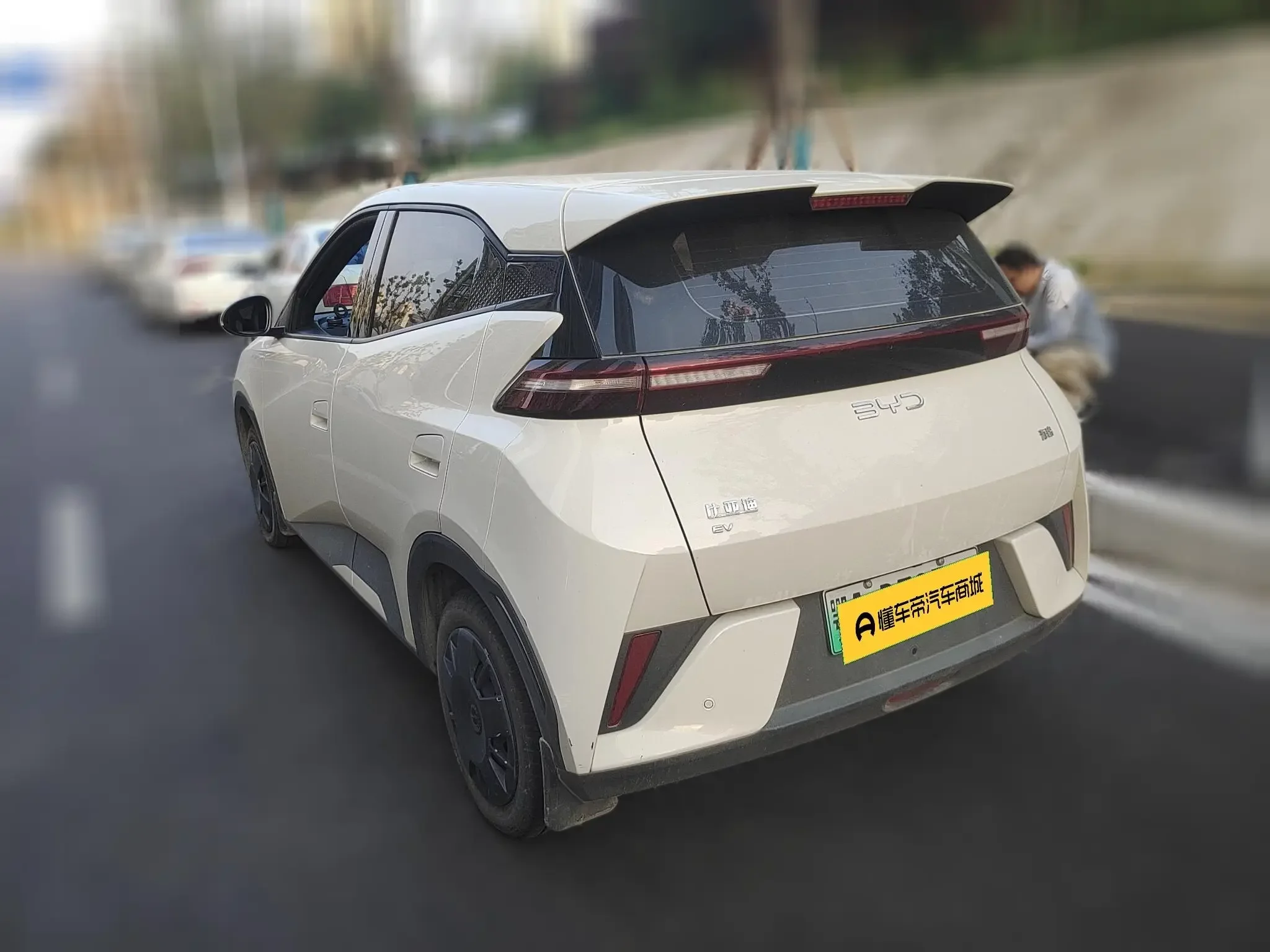 BYD Seagull