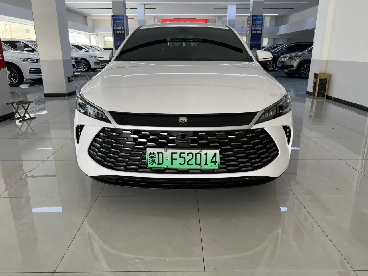 BYD Qin PLUS DM