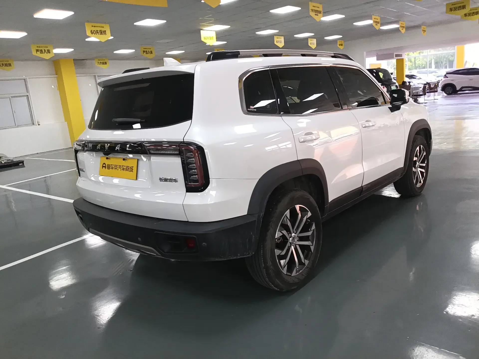 Haval Dargo
