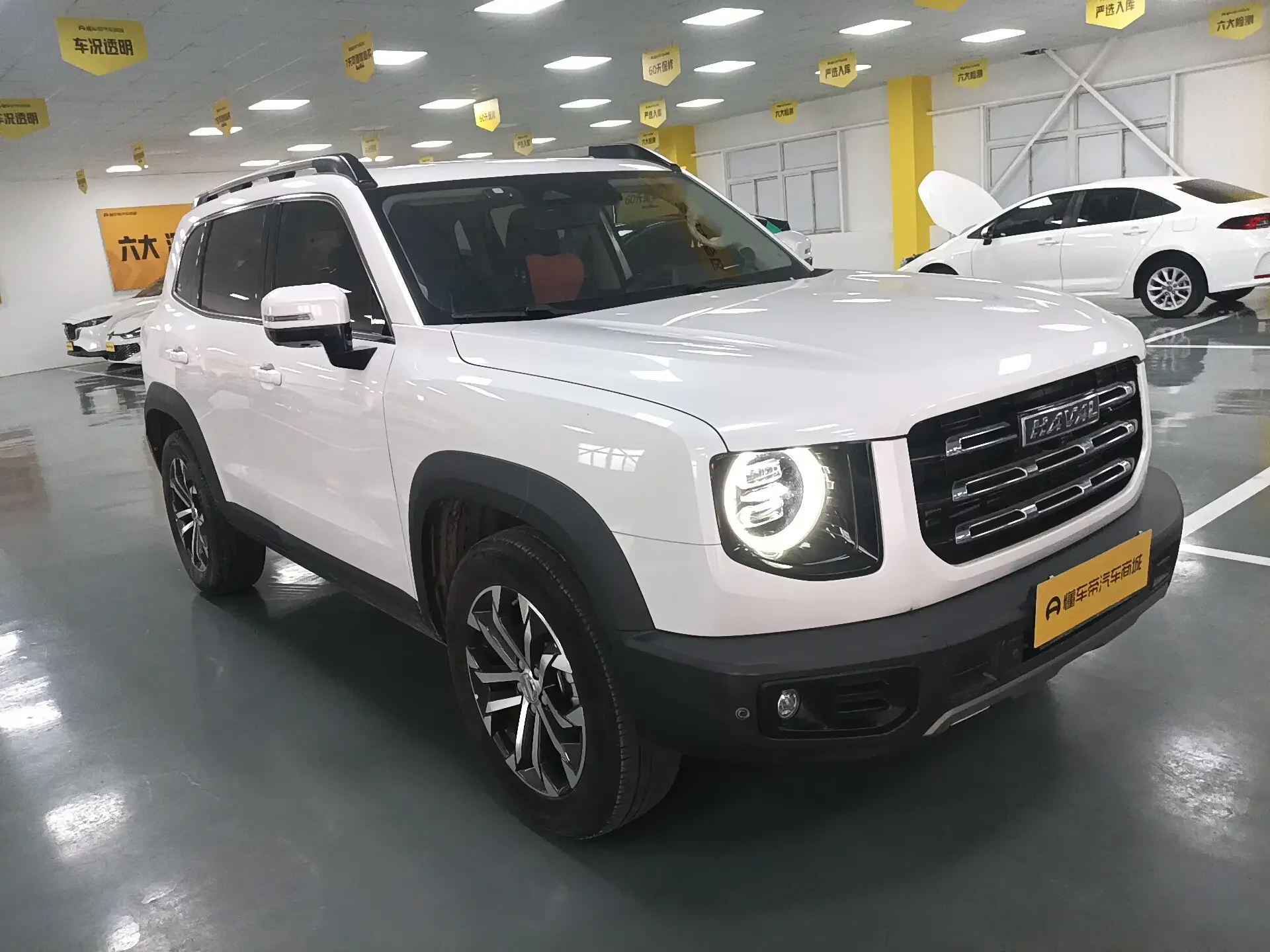 Haval Dargo