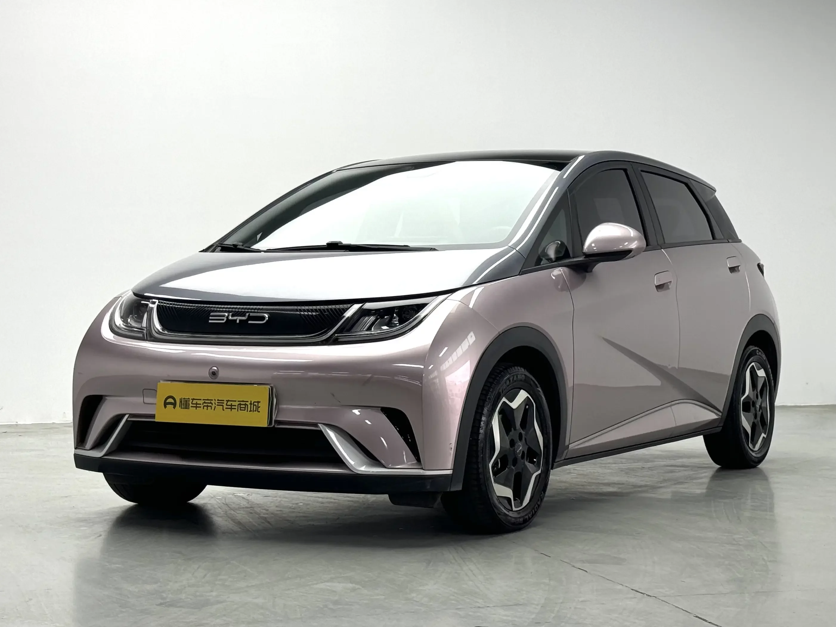 BYD Dolphin