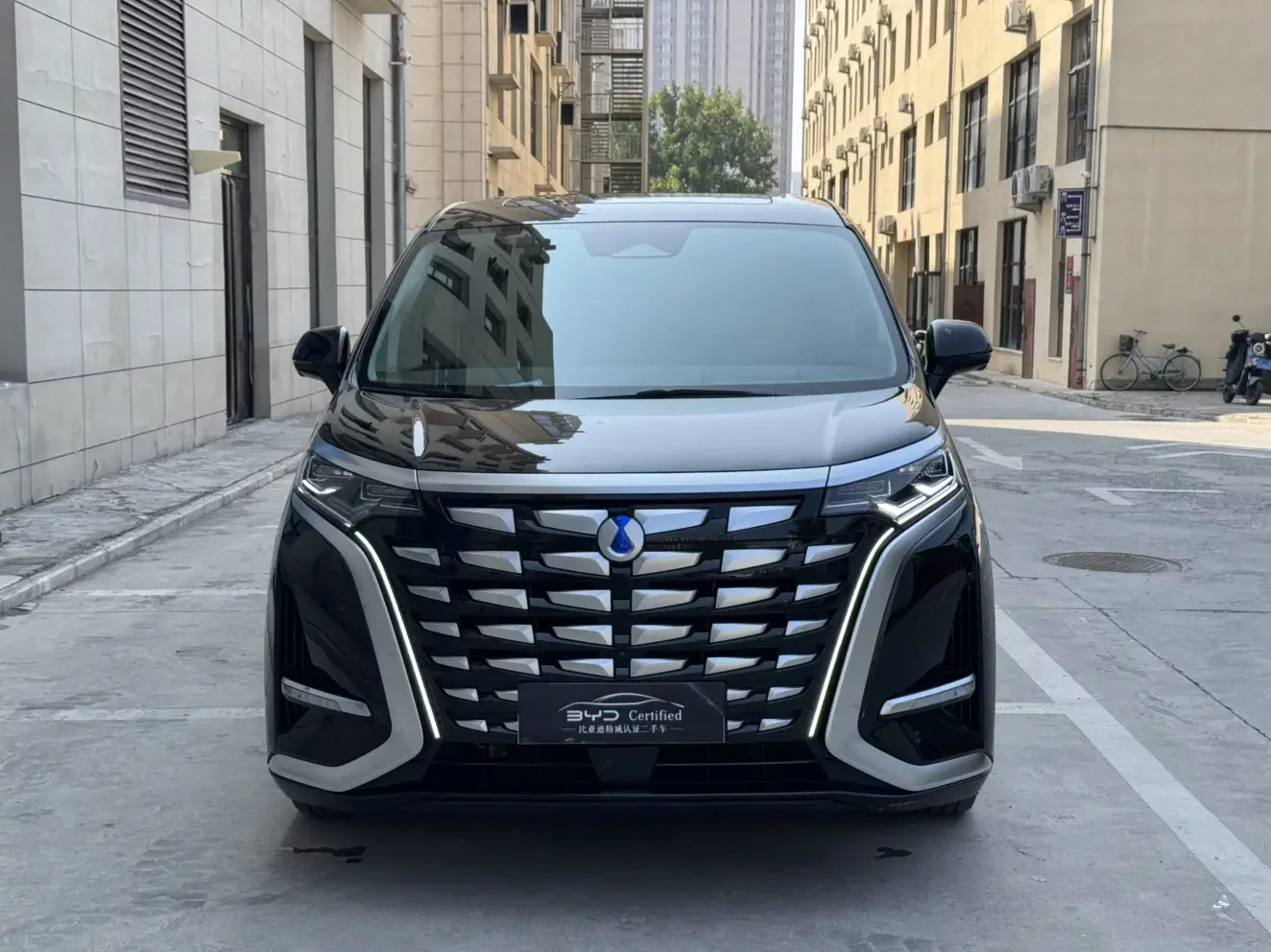 Denza D9 DM