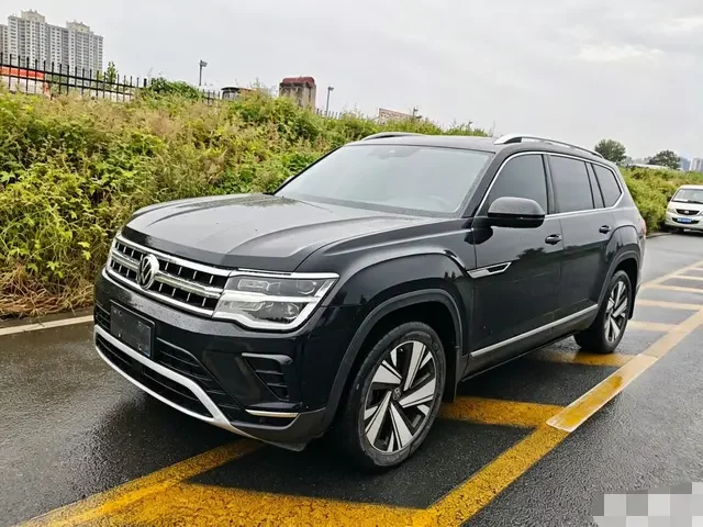 VOLKSWAGEN TERAMONT