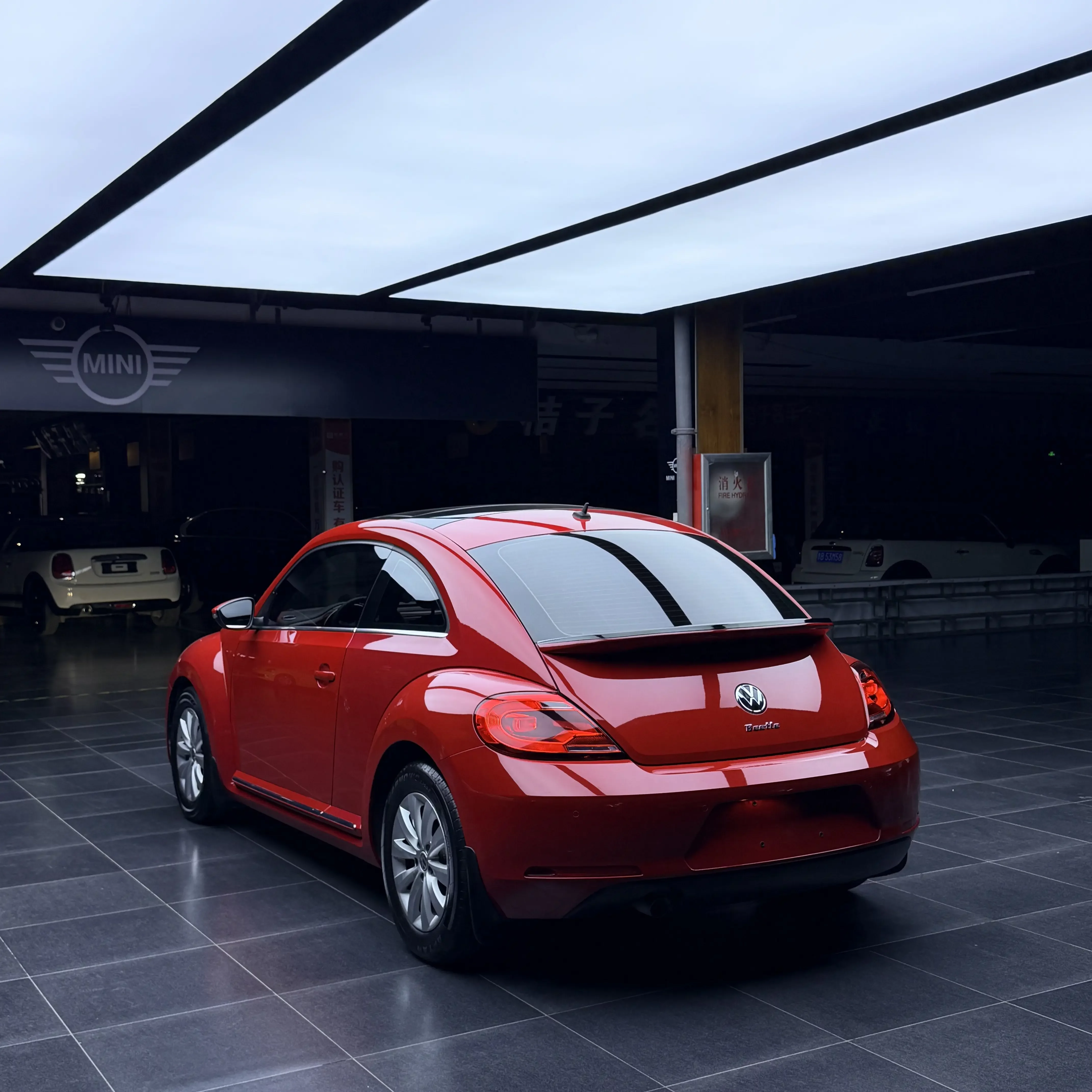 Volkswagen Beetle