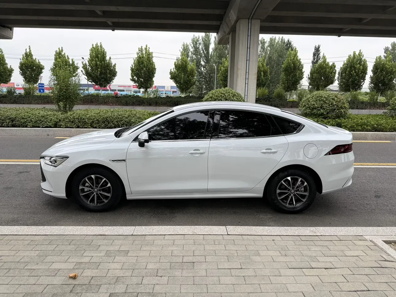 BYD Qin PLUS DM