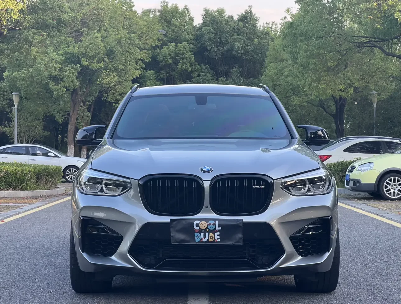 BMW X3 M