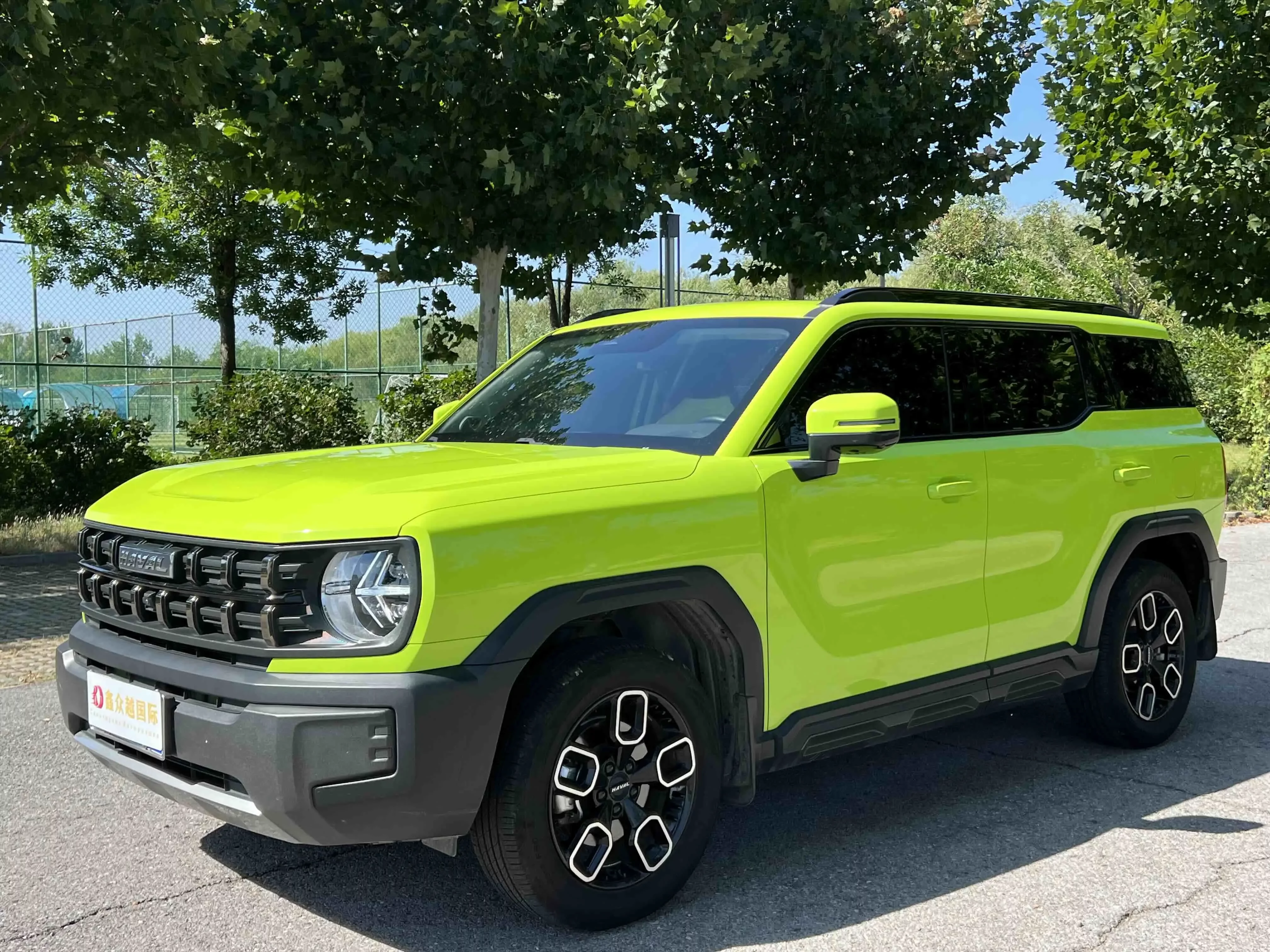 Haval cool dog