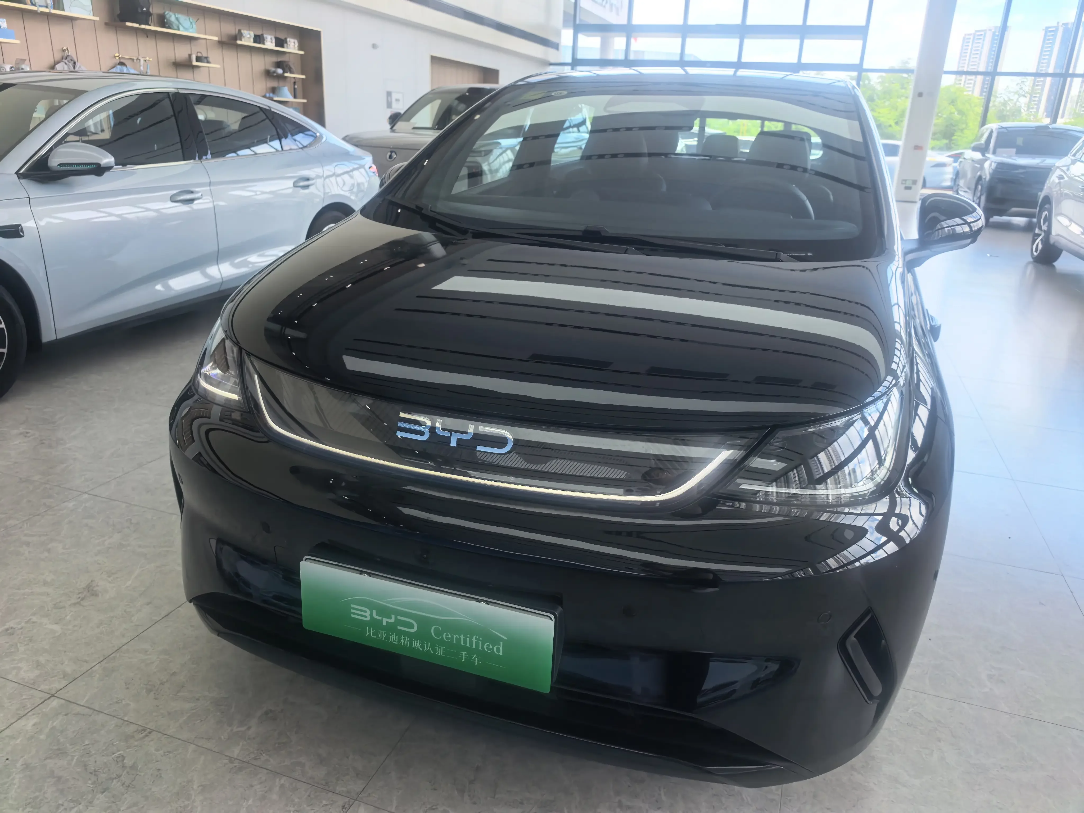 BYD Dolphin